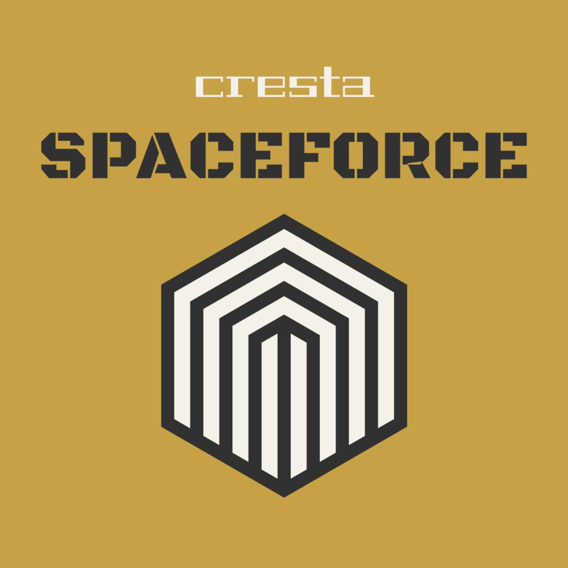 Постер альбома Spaceforce
