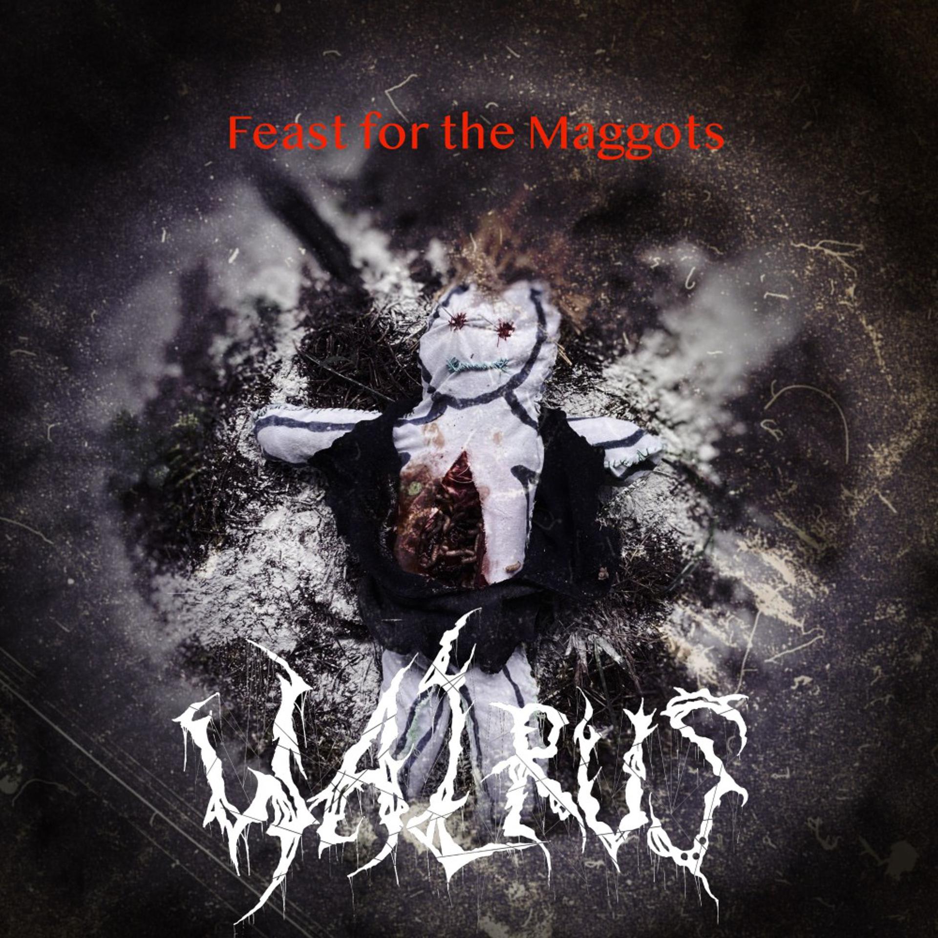 Постер альбома Feast for the Maggots