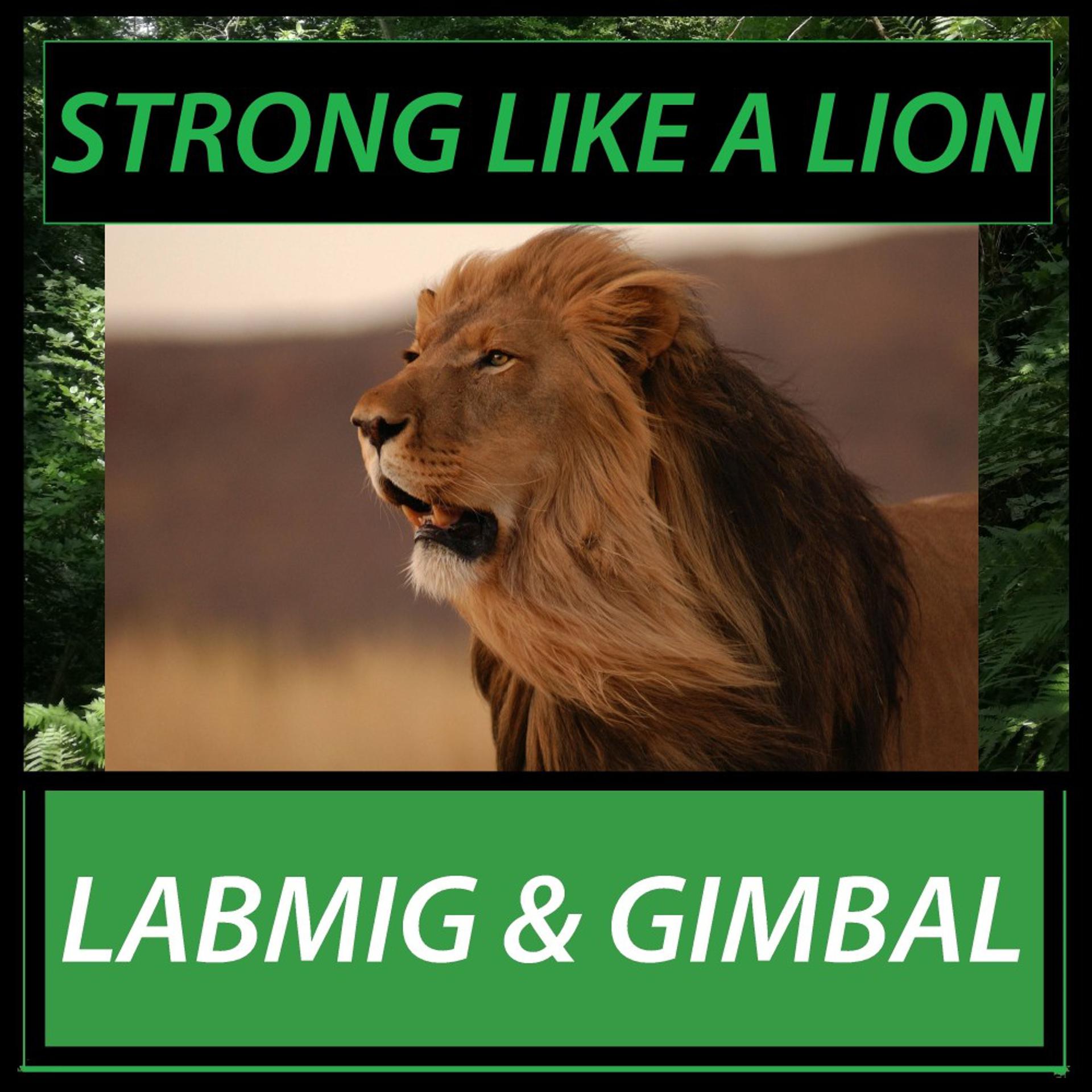 Постер альбома Strong Like a Lion