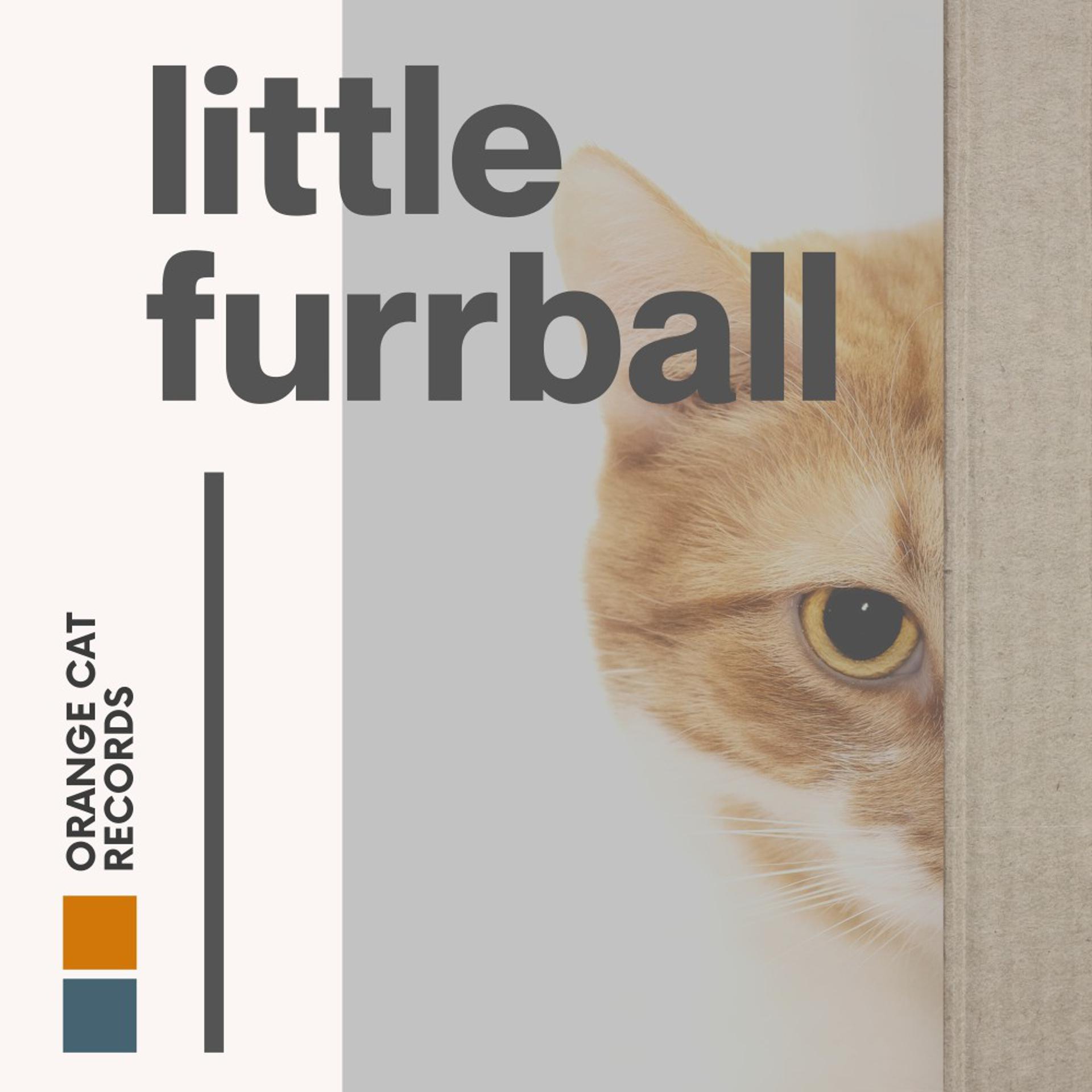 Постер альбома Little Furball