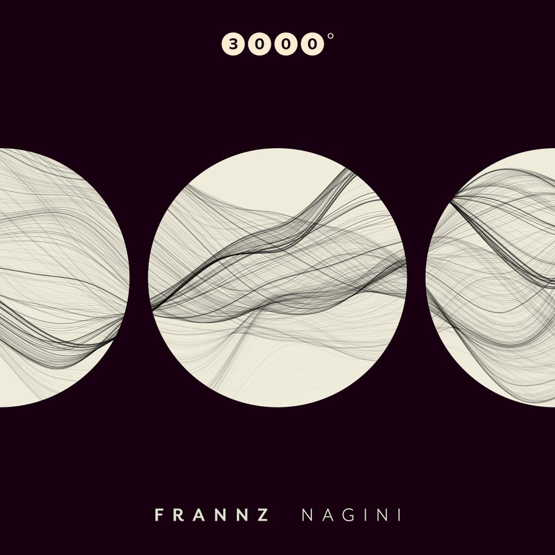 Постер альбома Nagini