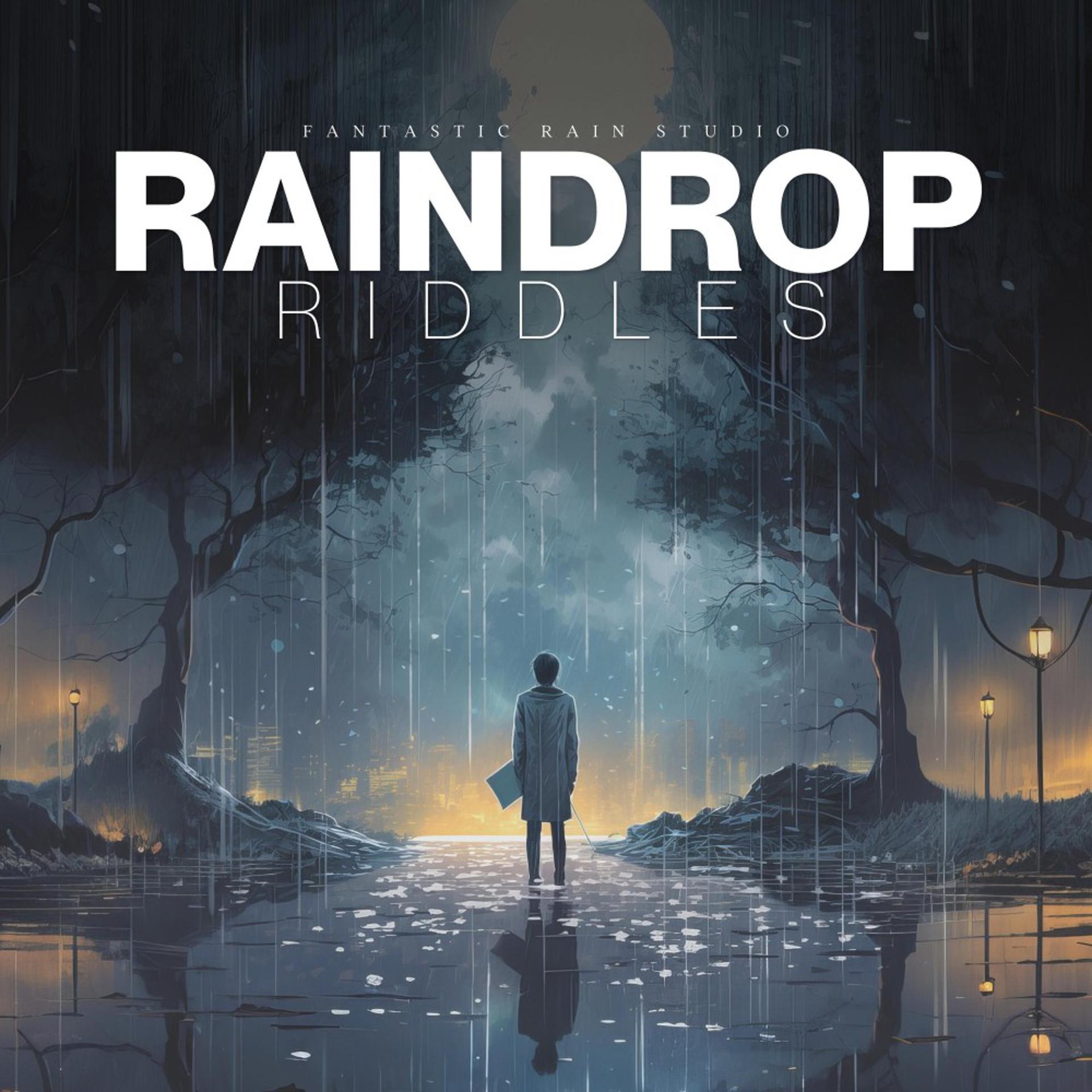 Постер альбома Raindrop Riddles