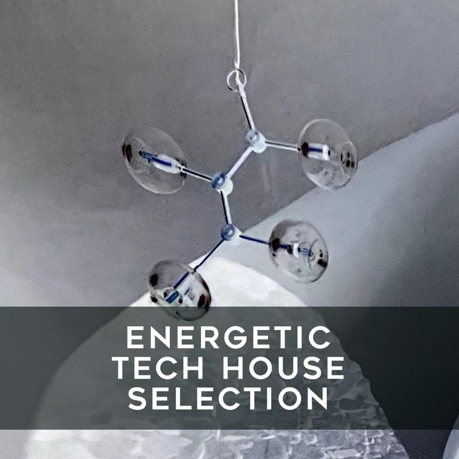 Постер альбома Energetic Tech House Selection