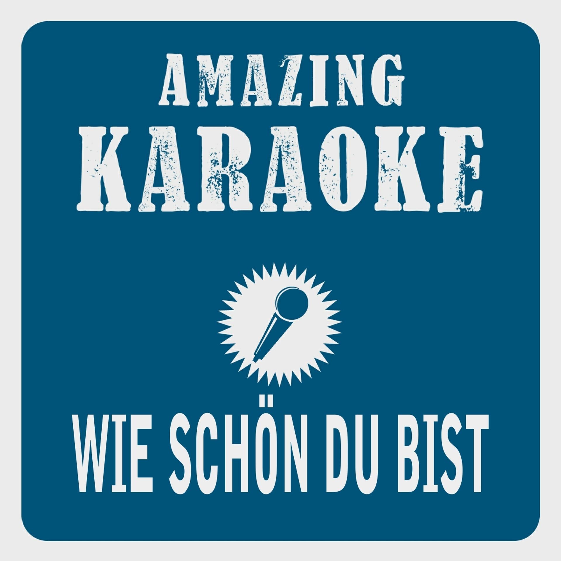Постер альбома Wie schön du bist (Karaoke Version)