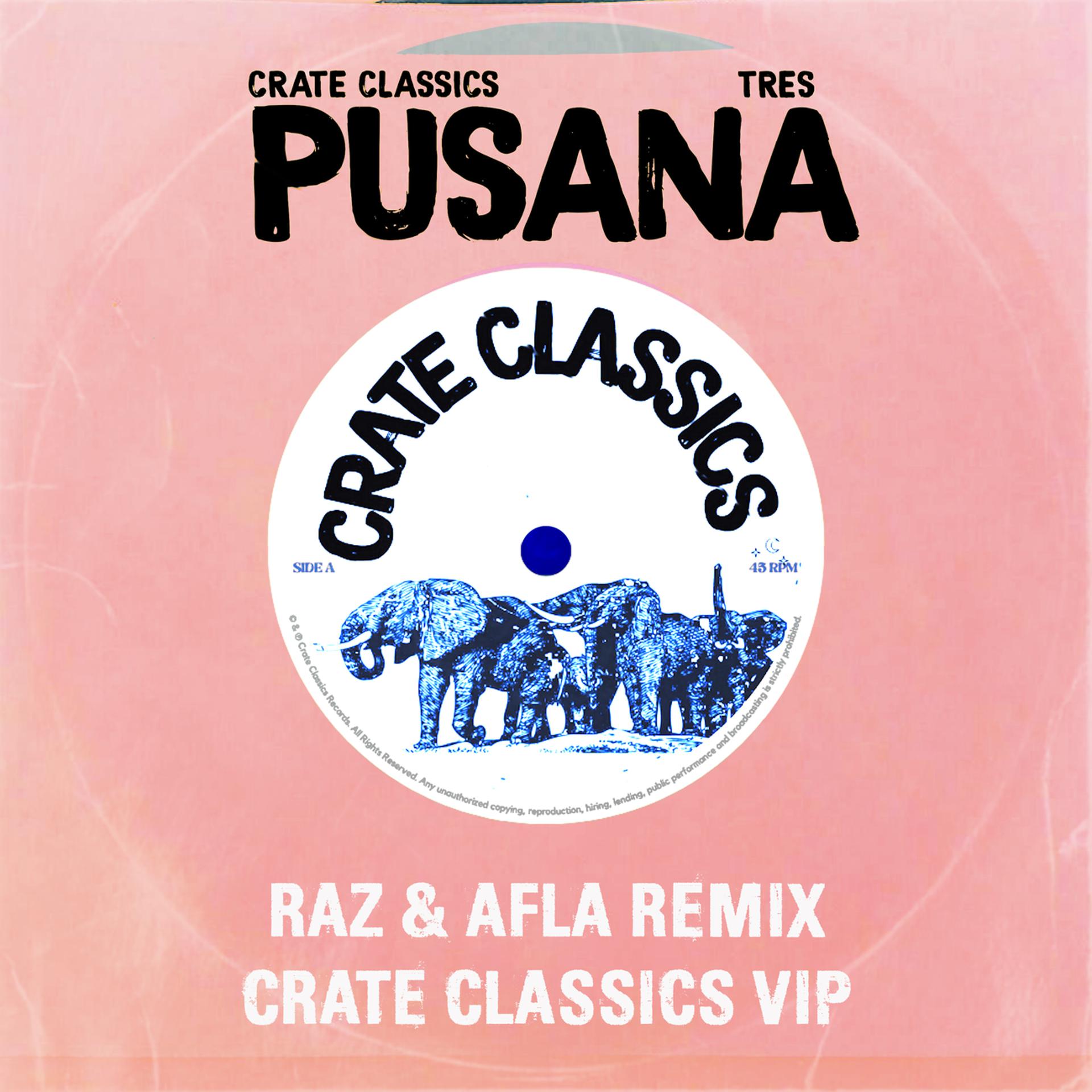 Постер альбома Pusana Remix EP