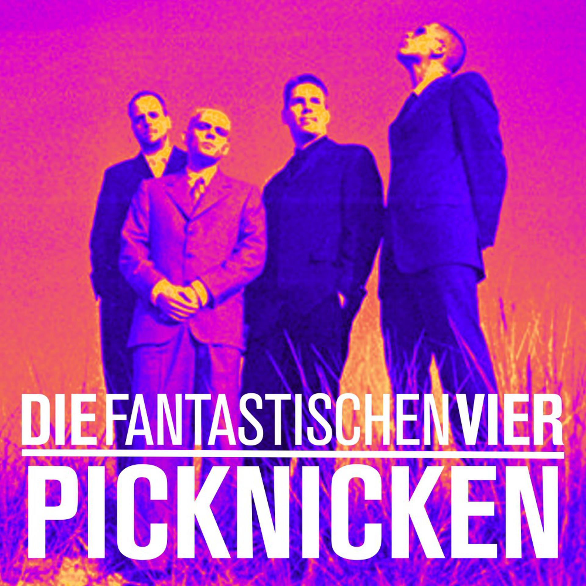 Постер альбома Picknicken