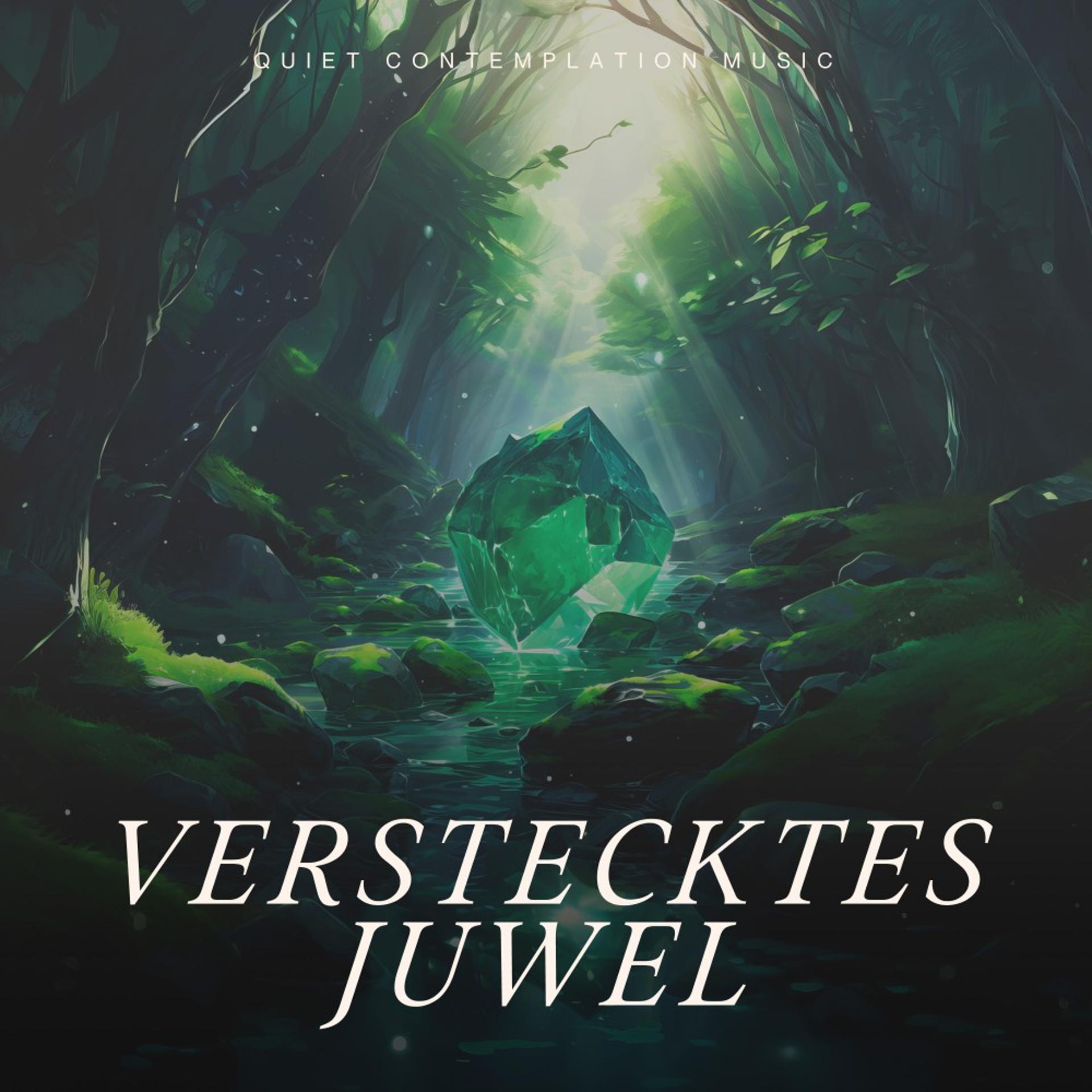 Постер альбома Verstecktes Juwel
