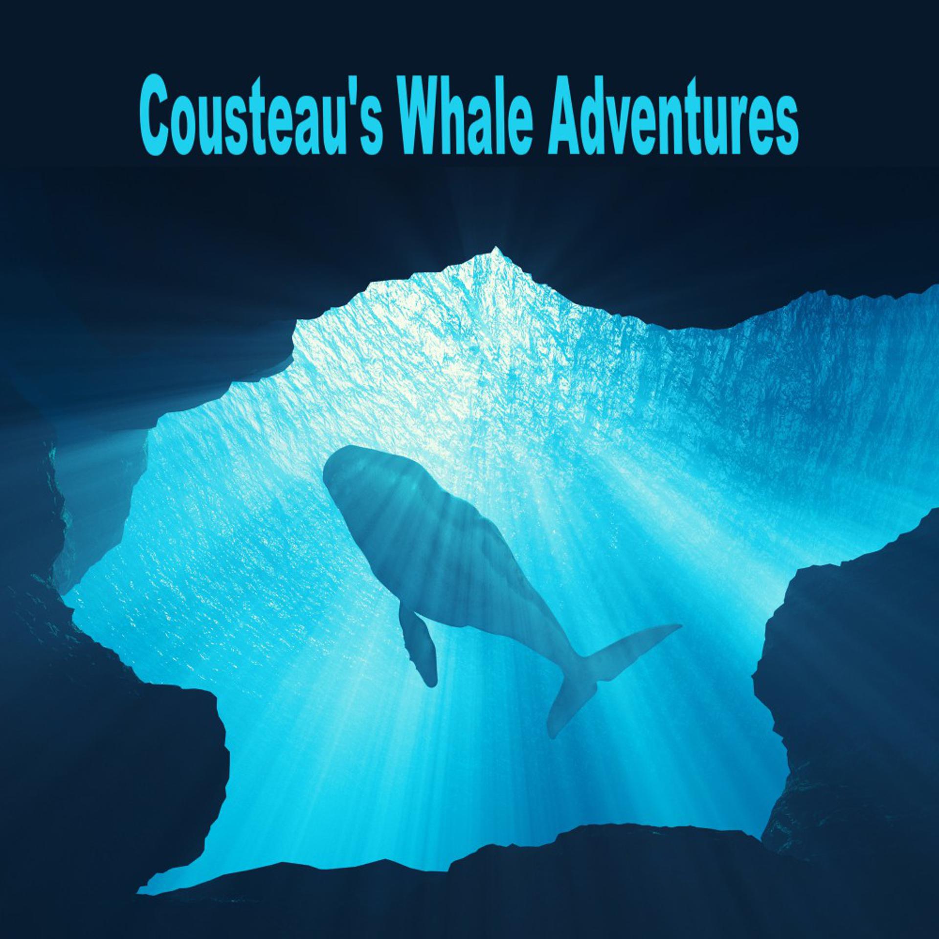 Постер альбома Cousteau's Whale Adventures (Dive, Explore, and Connect with Humpback Whales)