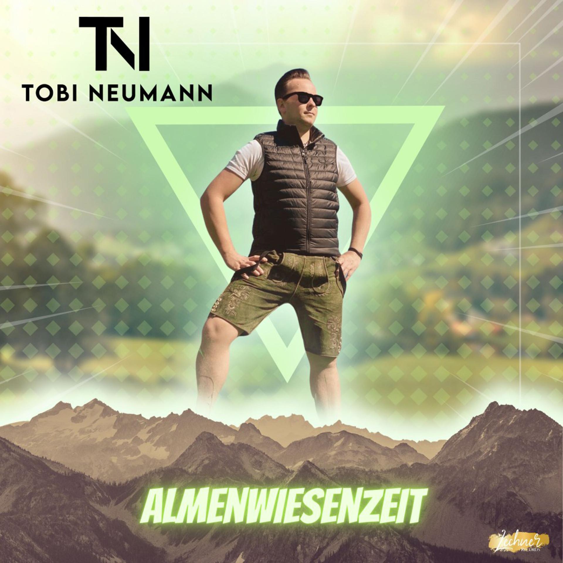 Постер альбома Almenwiesenzeit