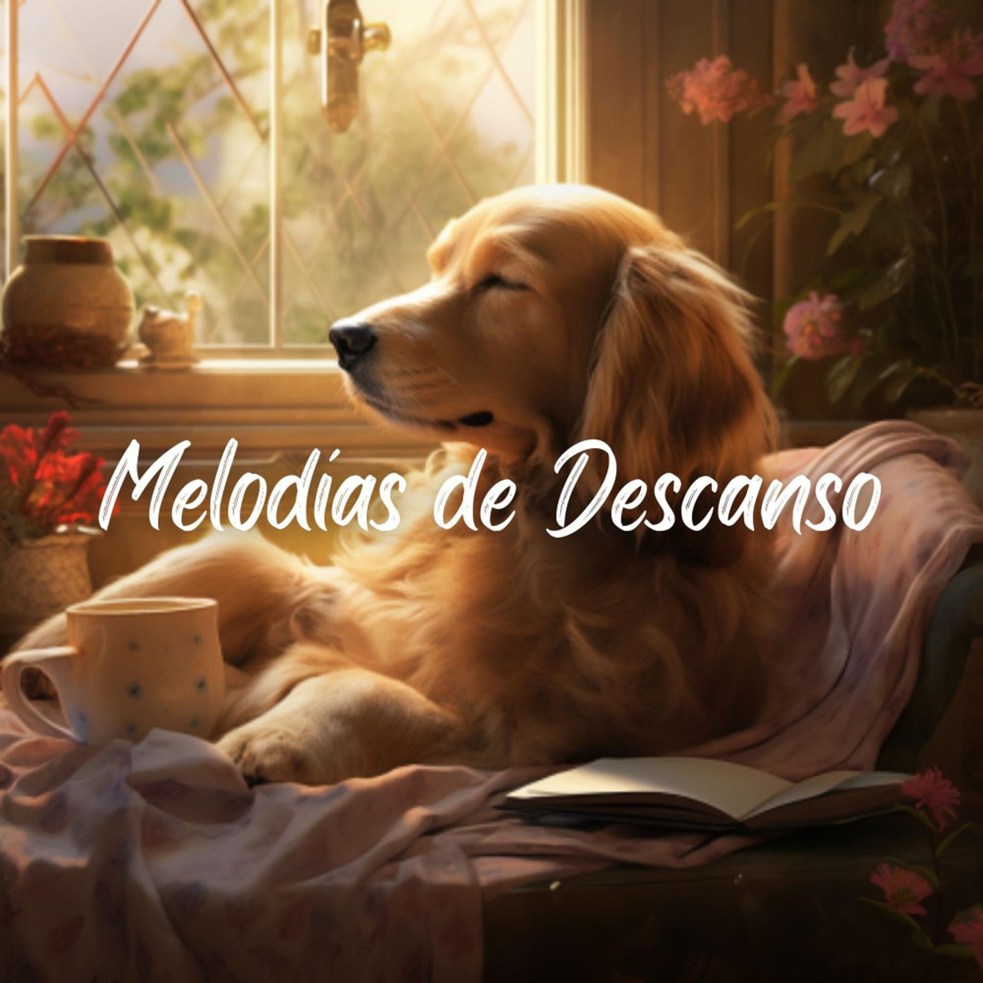 Постер альбома Melodías de Descanso