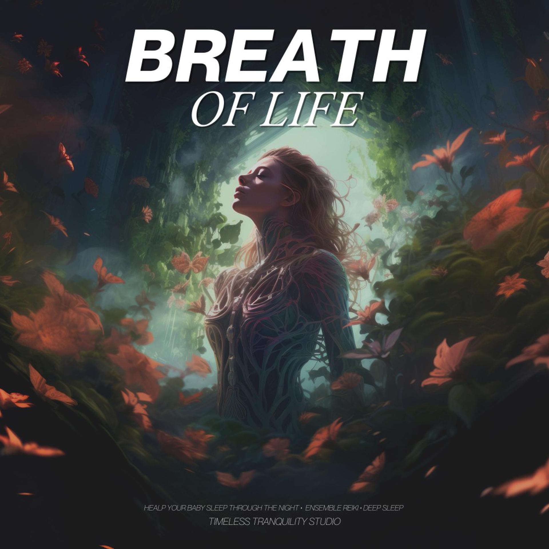 Постер альбома Breath of Life