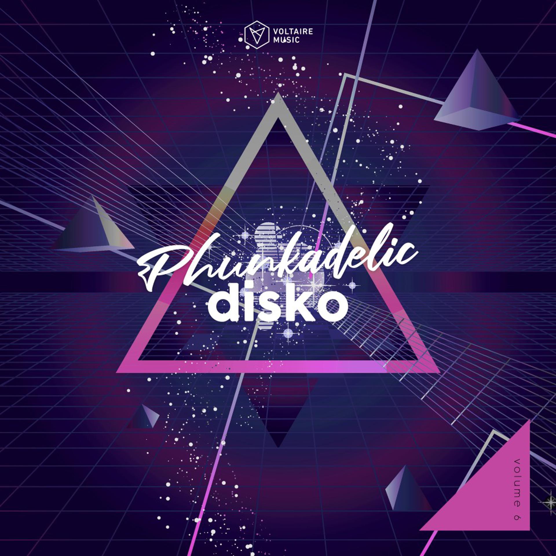 Постер альбома Phunkadelic Disko, Vol. 6