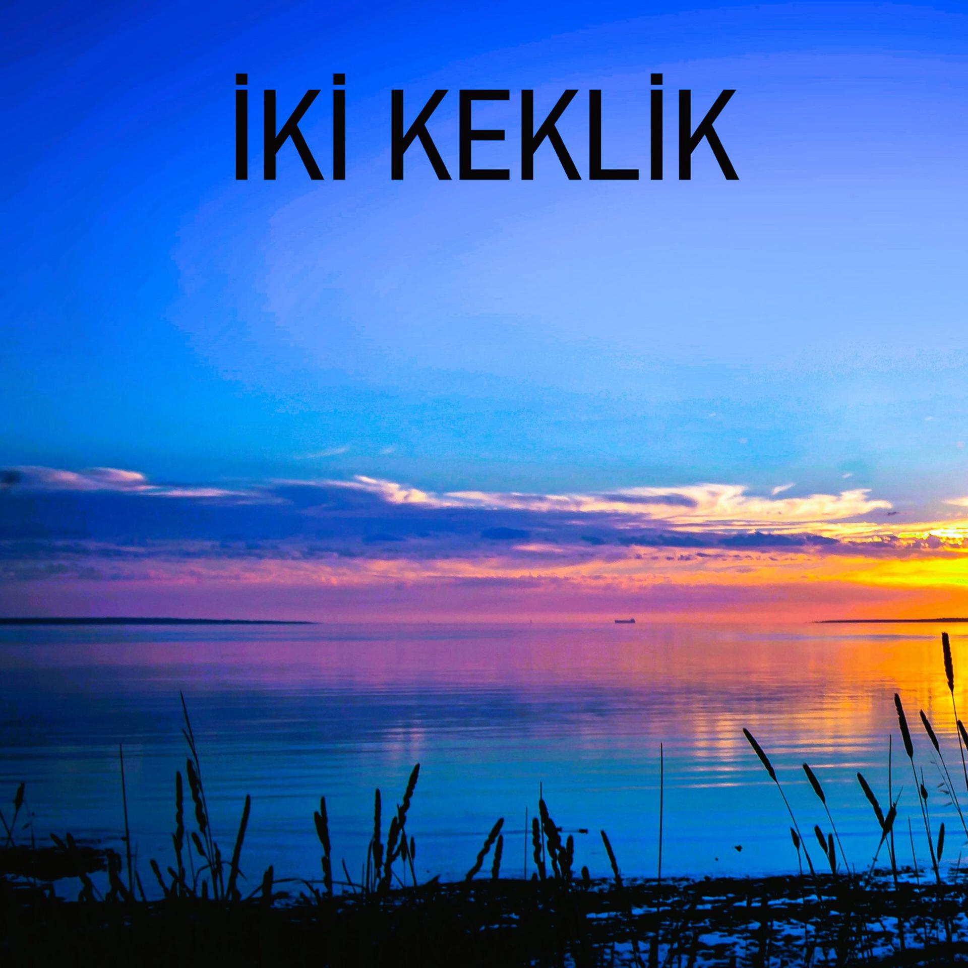 Постер альбома İki Keklik