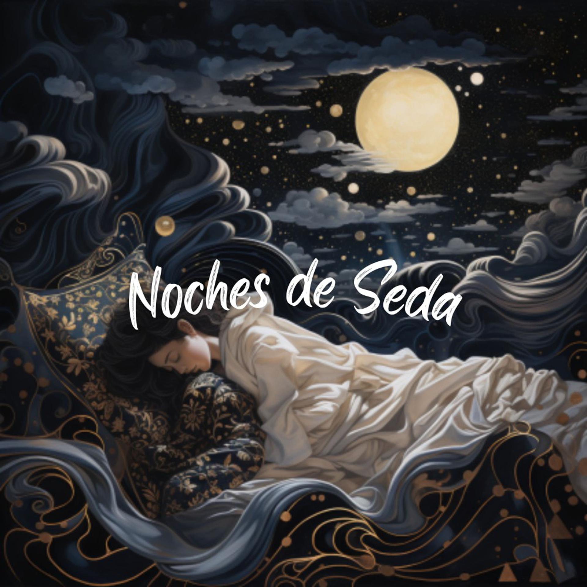 Постер альбома Noches de Seda