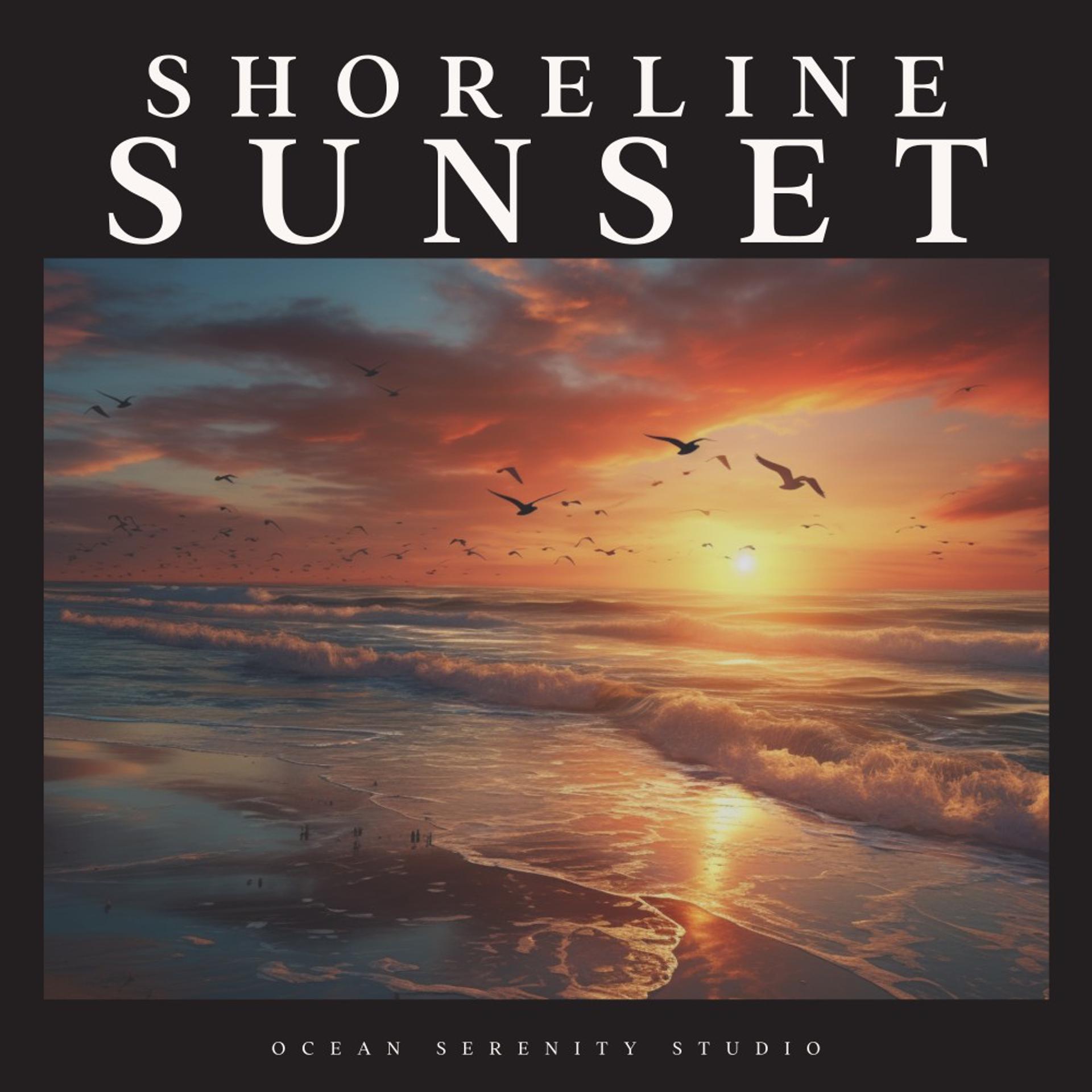 Постер альбома Shoreline Sunset