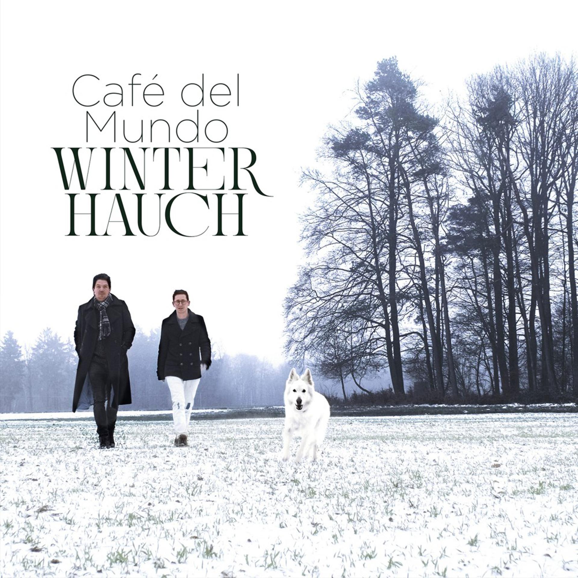 Постер альбома Winterhauch