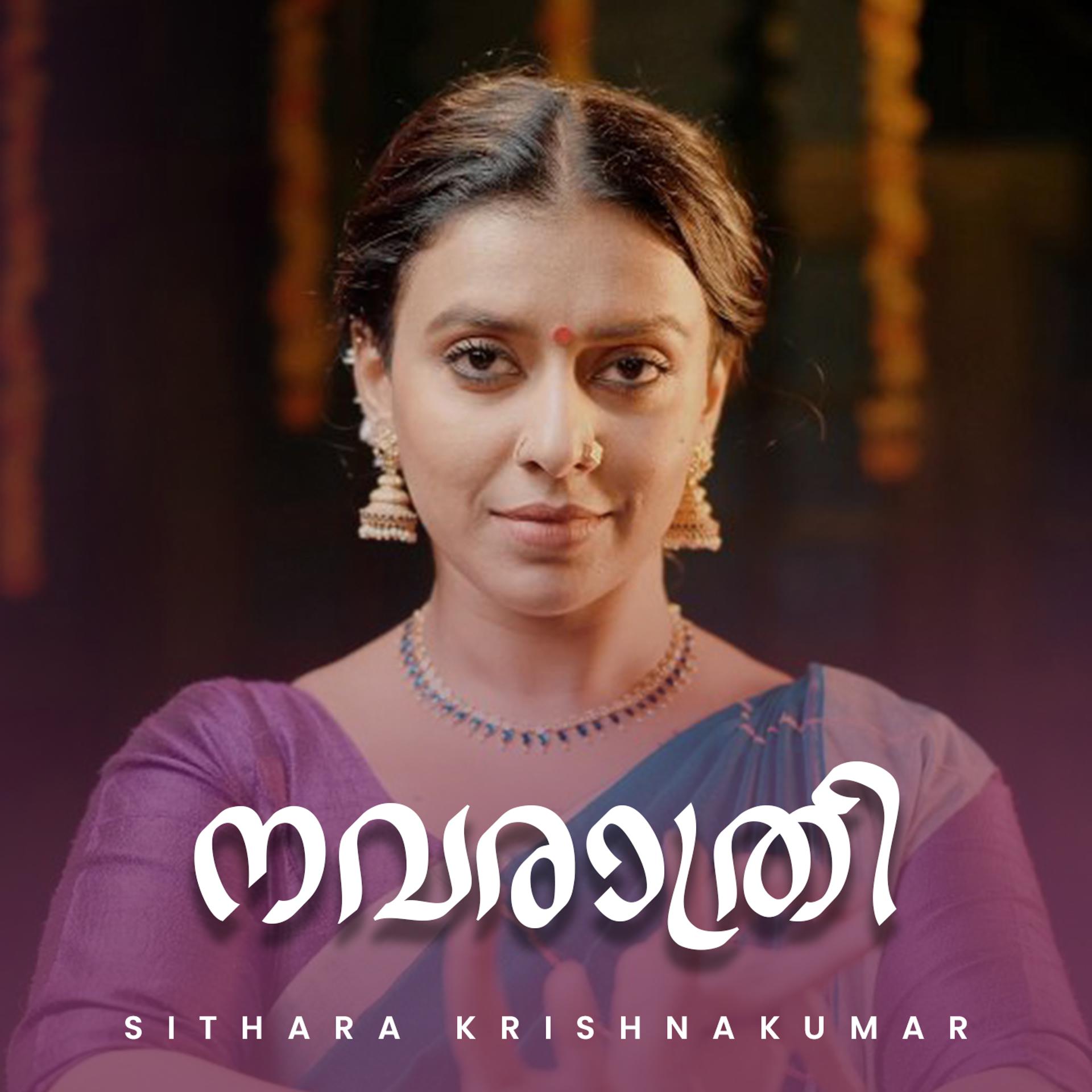 Постер альбома Navarathri