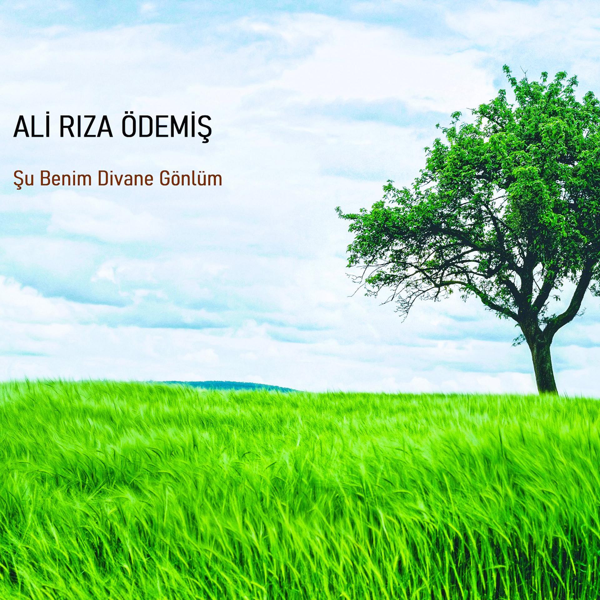 Постер альбома Şu Benim Divane Gönlüm