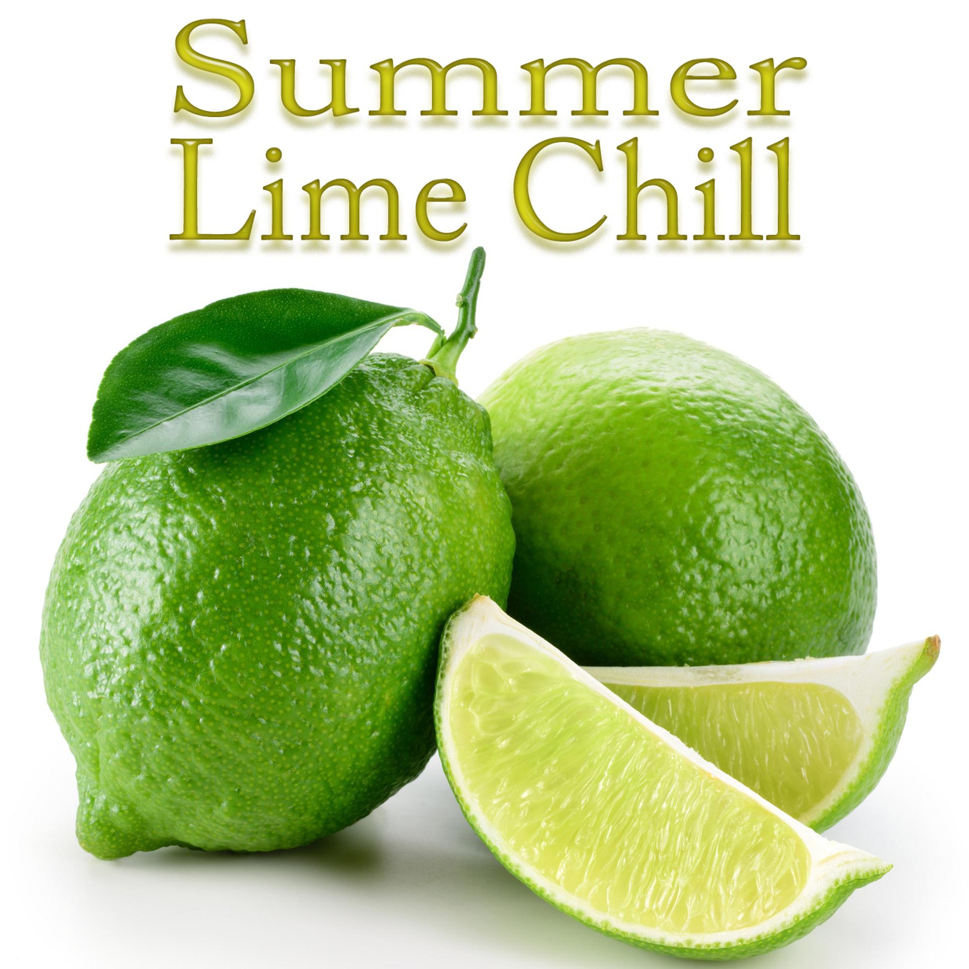 Постер альбома Summer Lime Chill