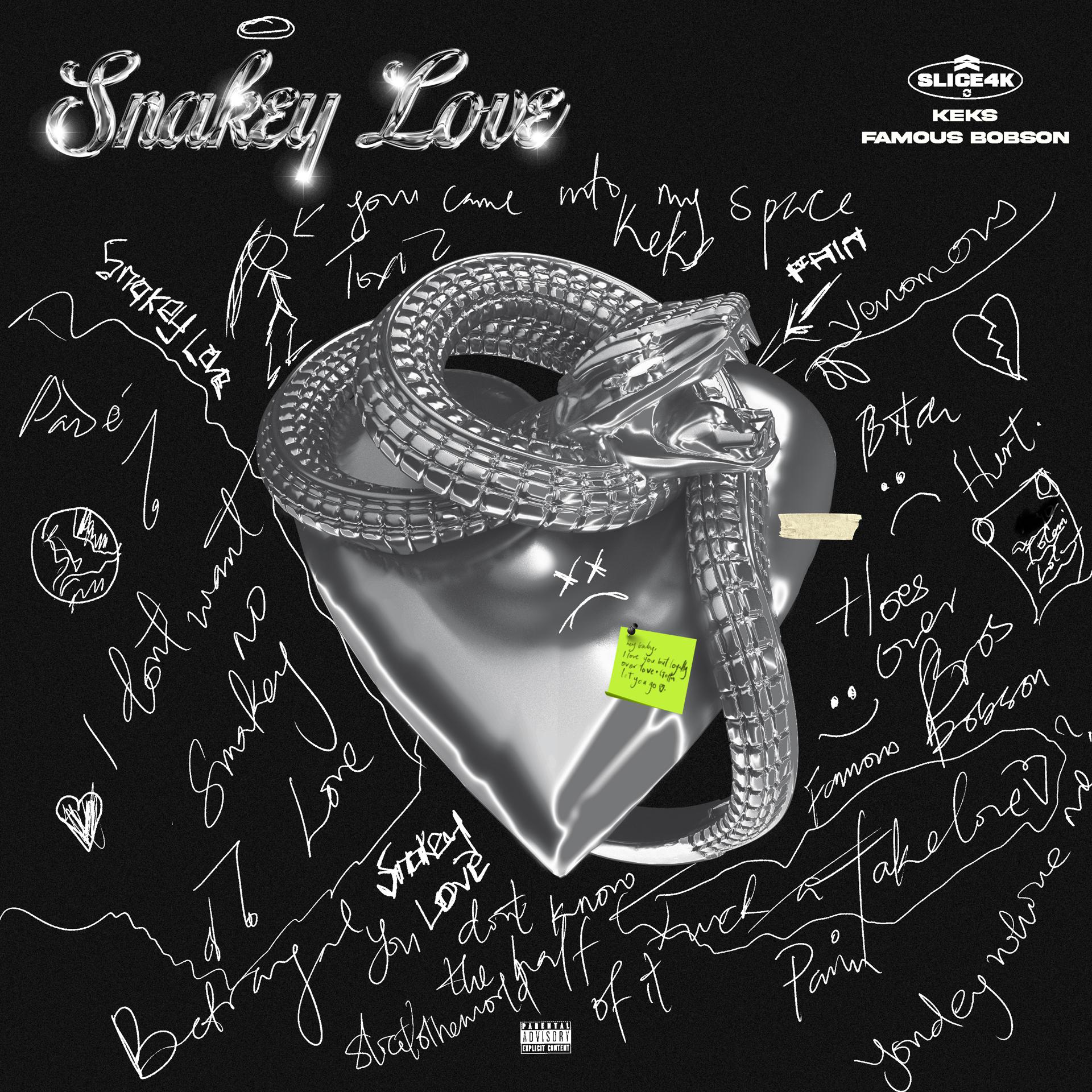 Постер альбома Snakey Love