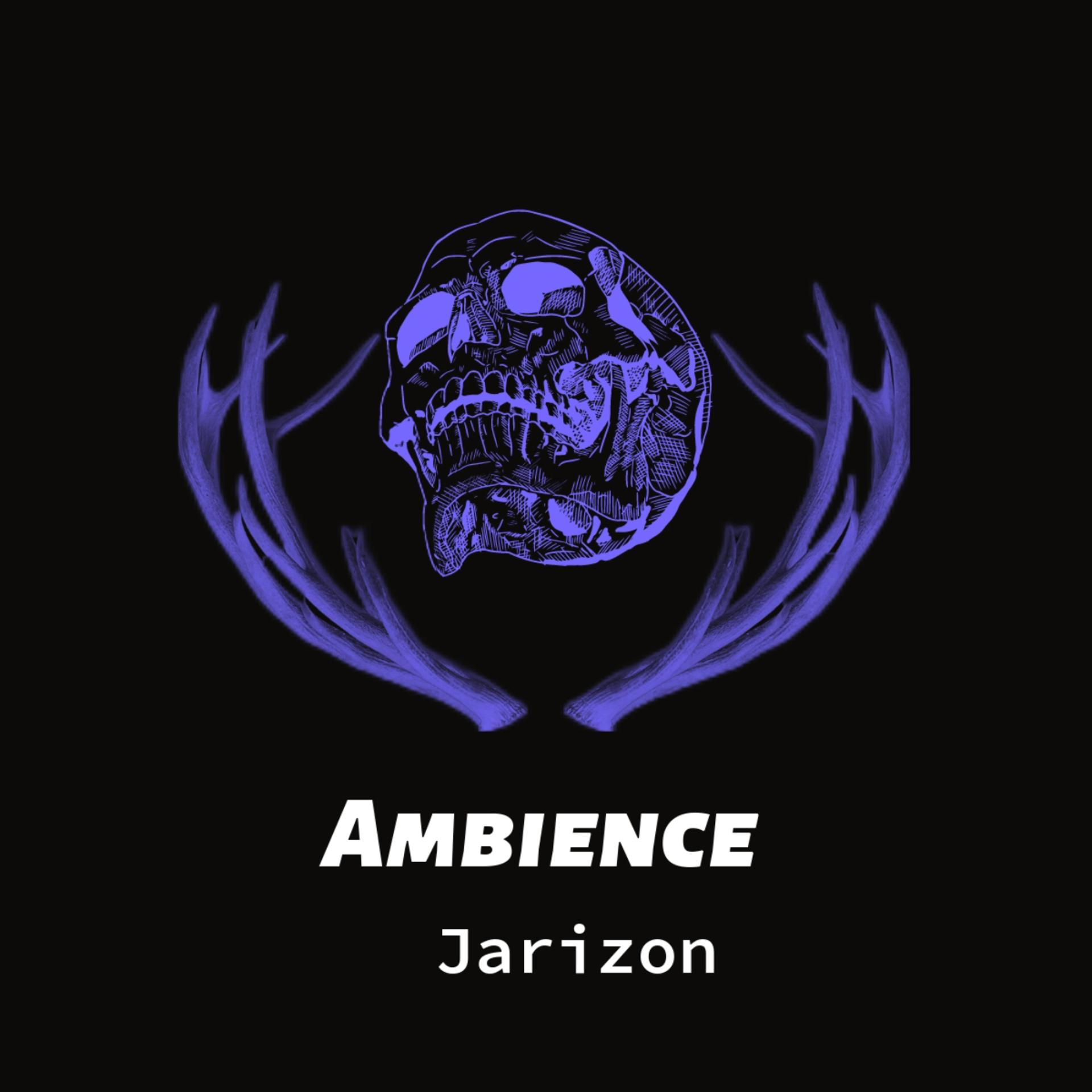 Постер альбома Ambience