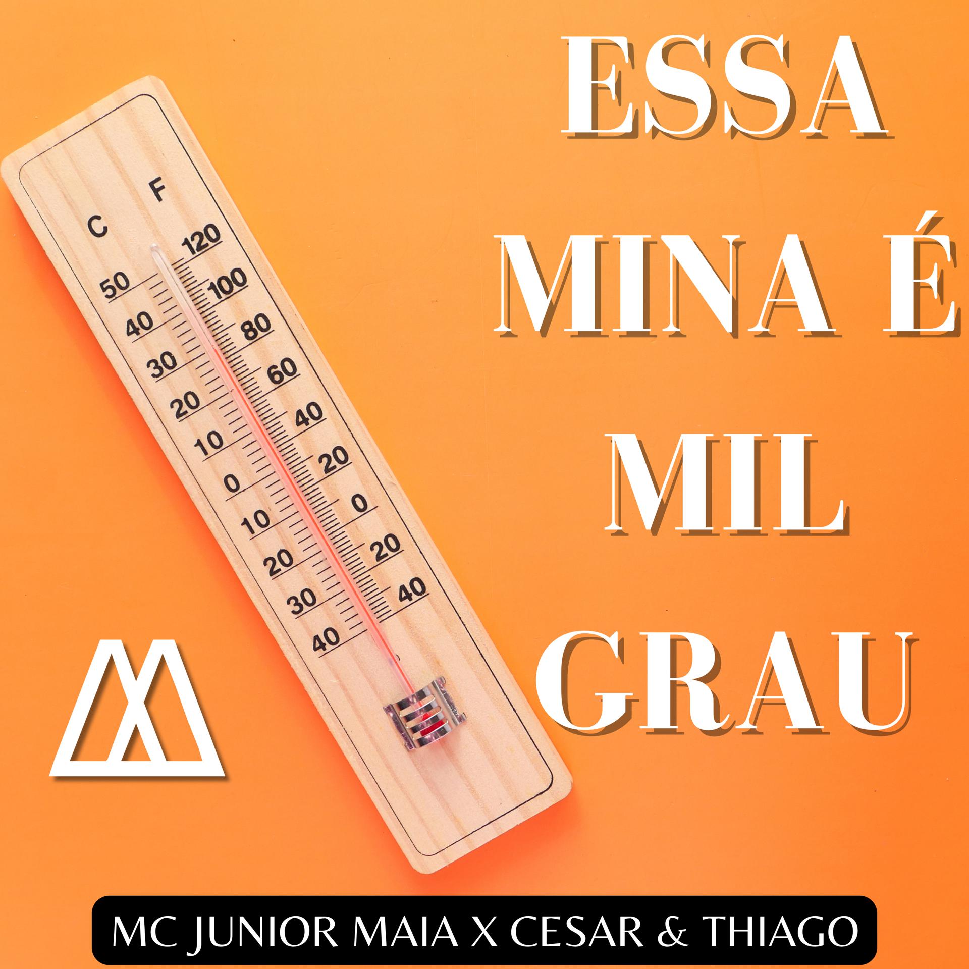 Постер альбома Essa Mina É Mil Grau