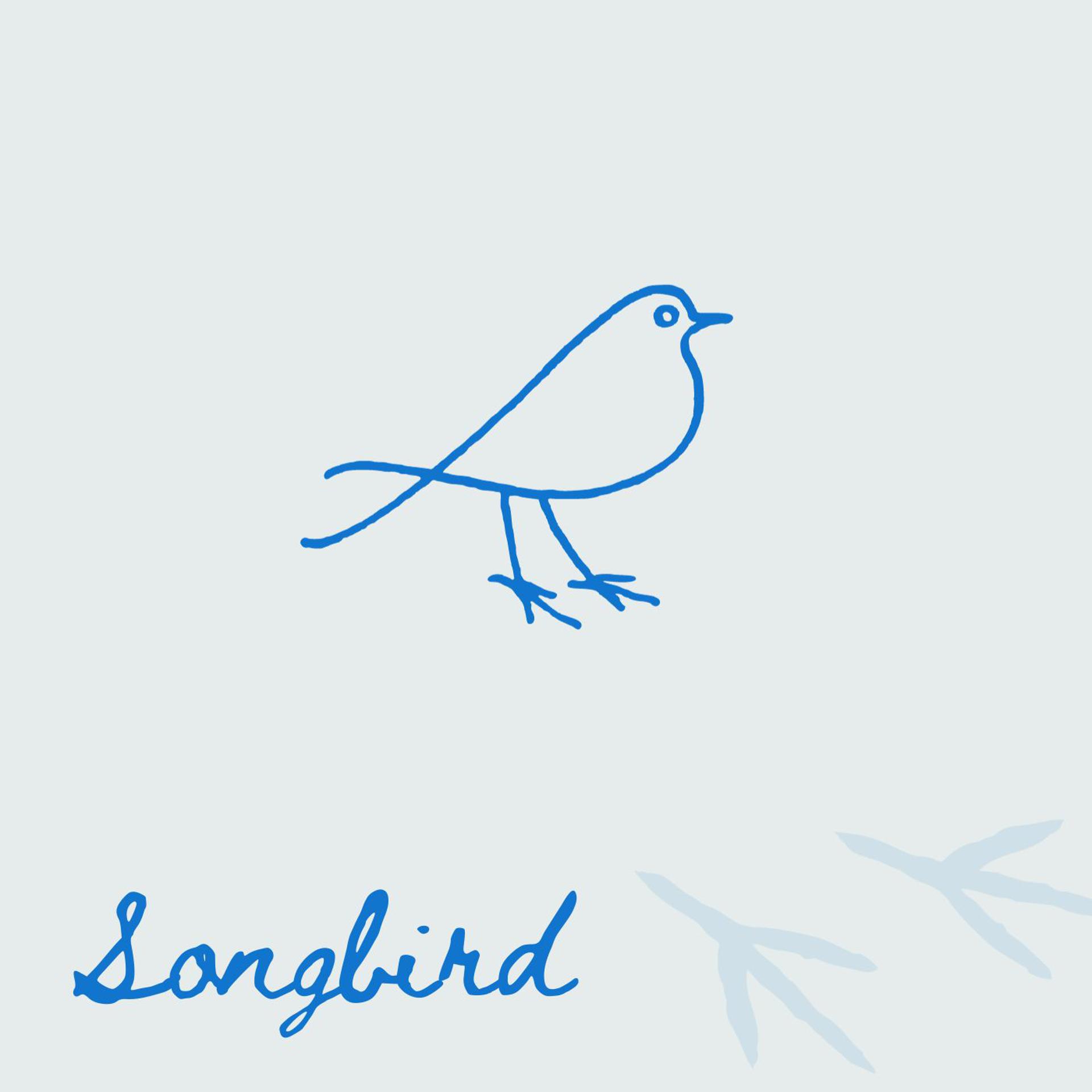 Постер альбома Songbird
