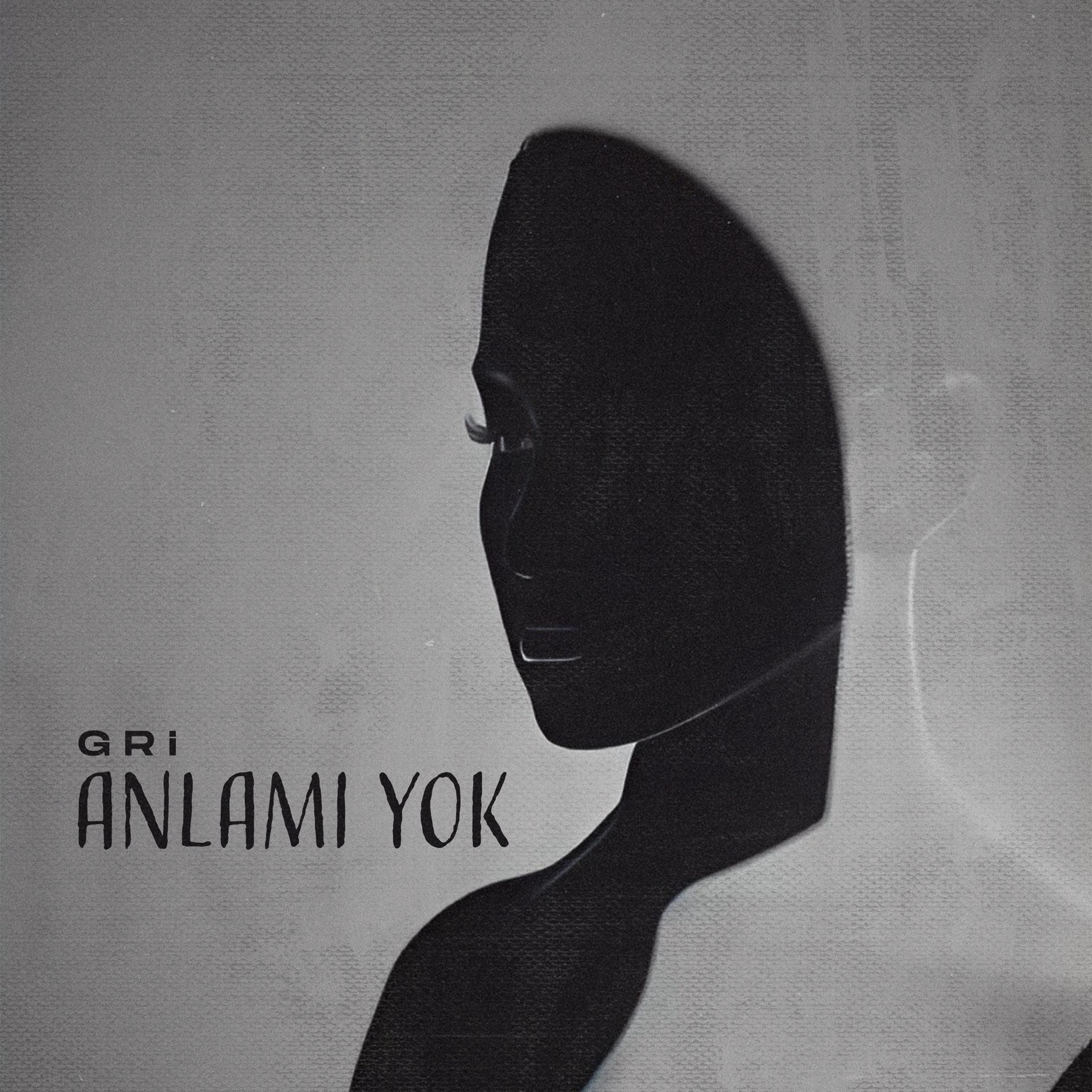 Постер альбома Anlamı Yok