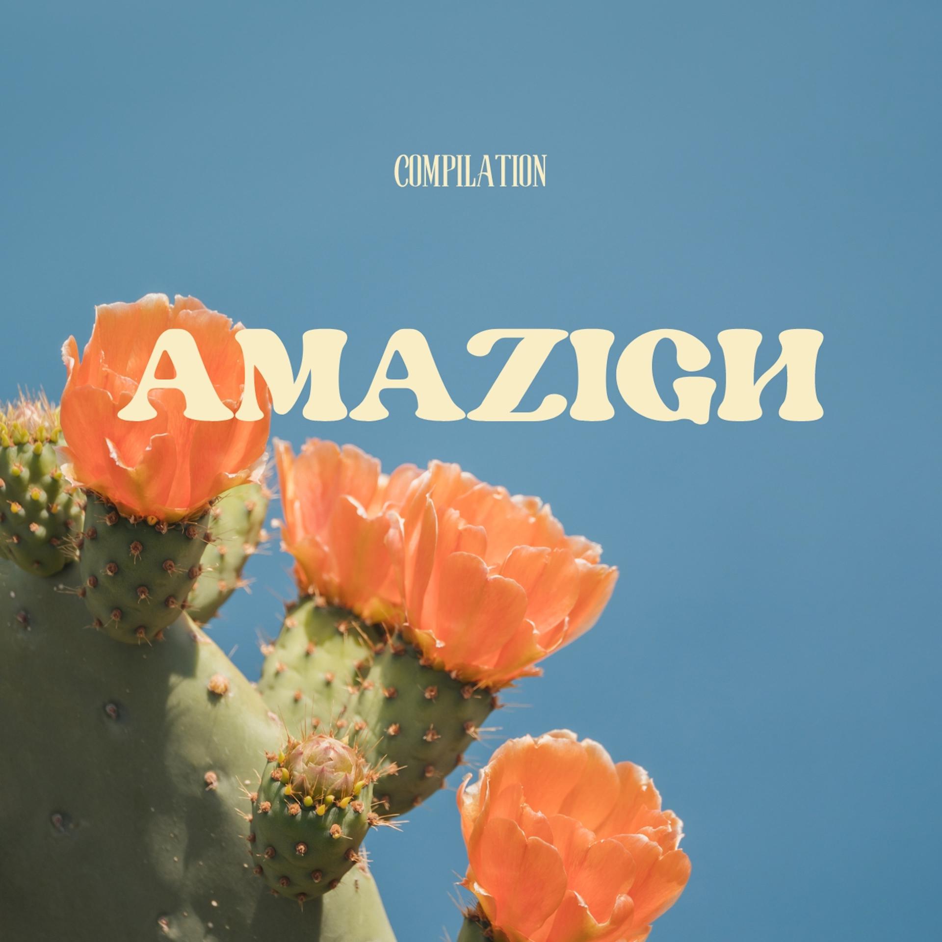 Постер альбома Amazigh Compilation