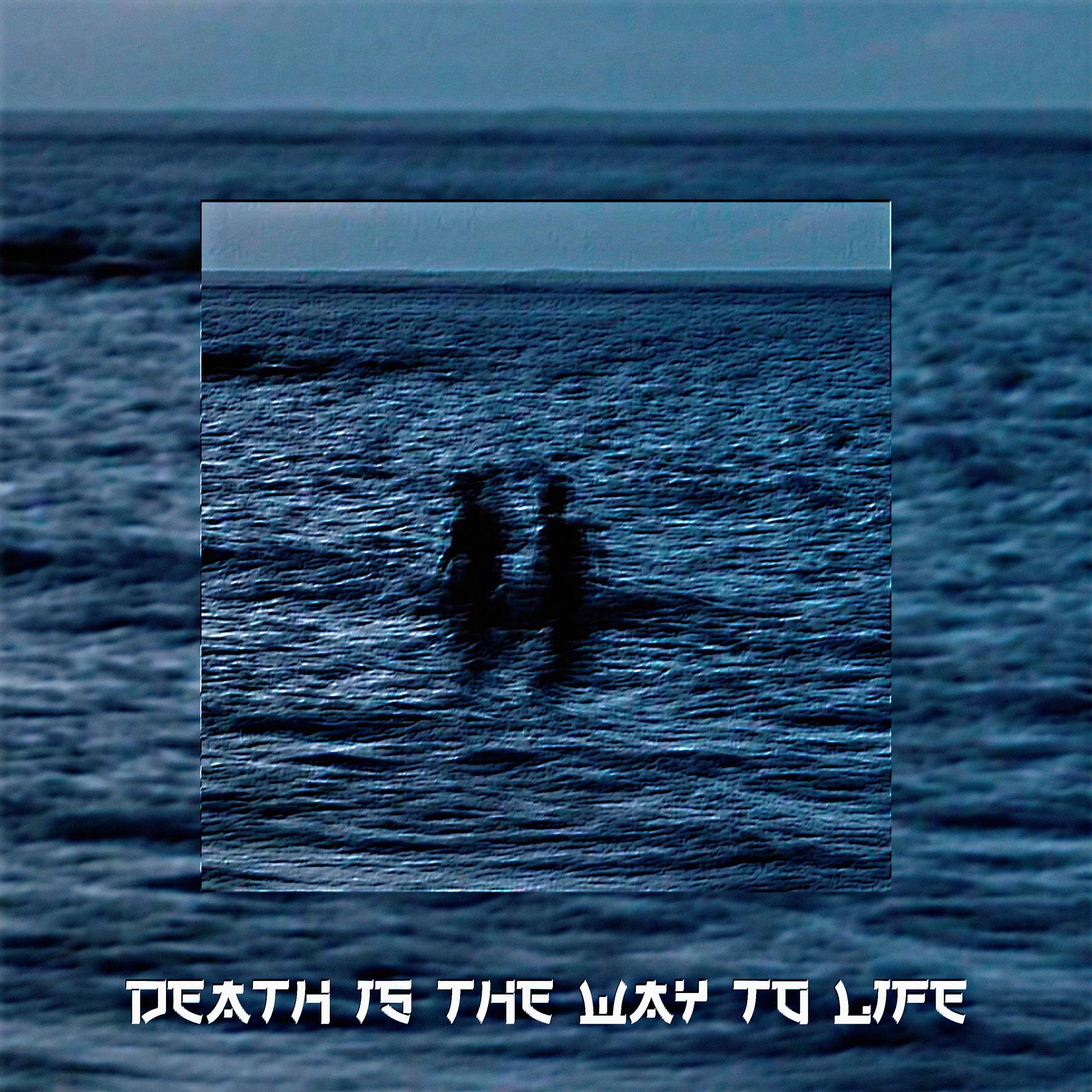 Постер альбома Death is the way to life