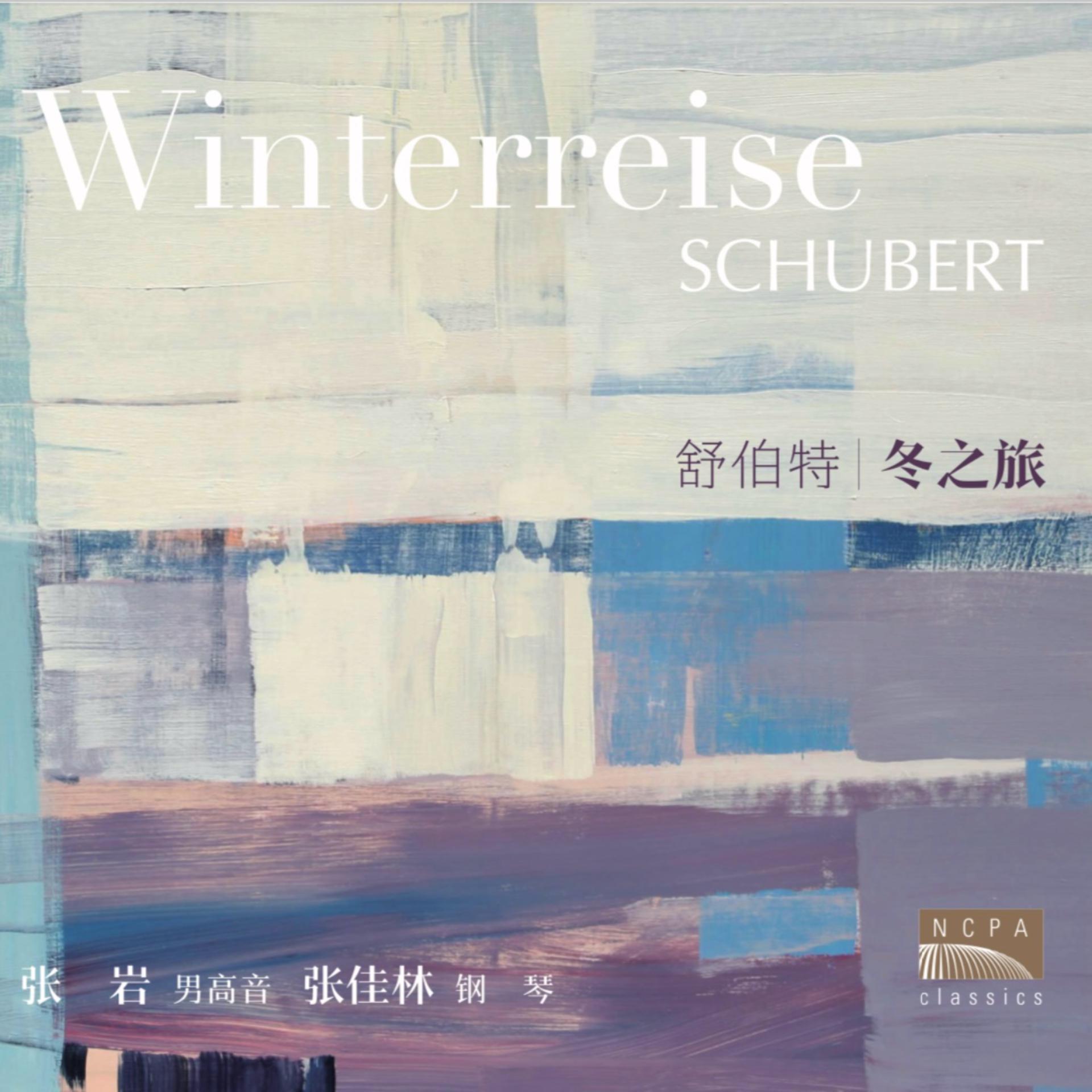 Постер альбома 舒伯特：冬之旅
