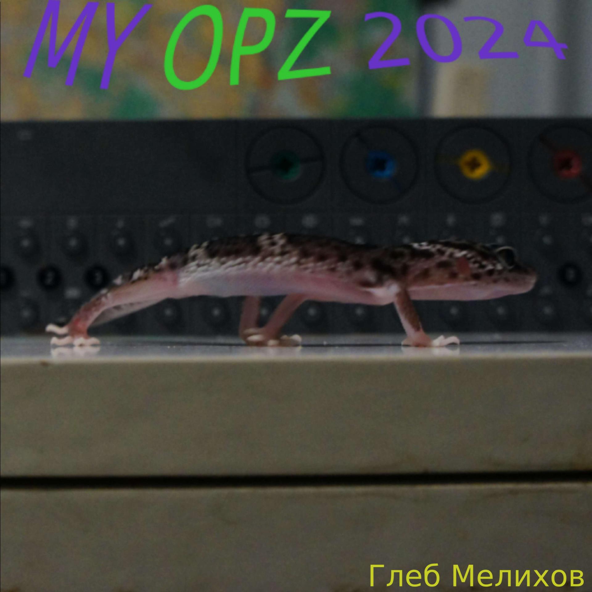 Постер альбома MY OPZ 2024