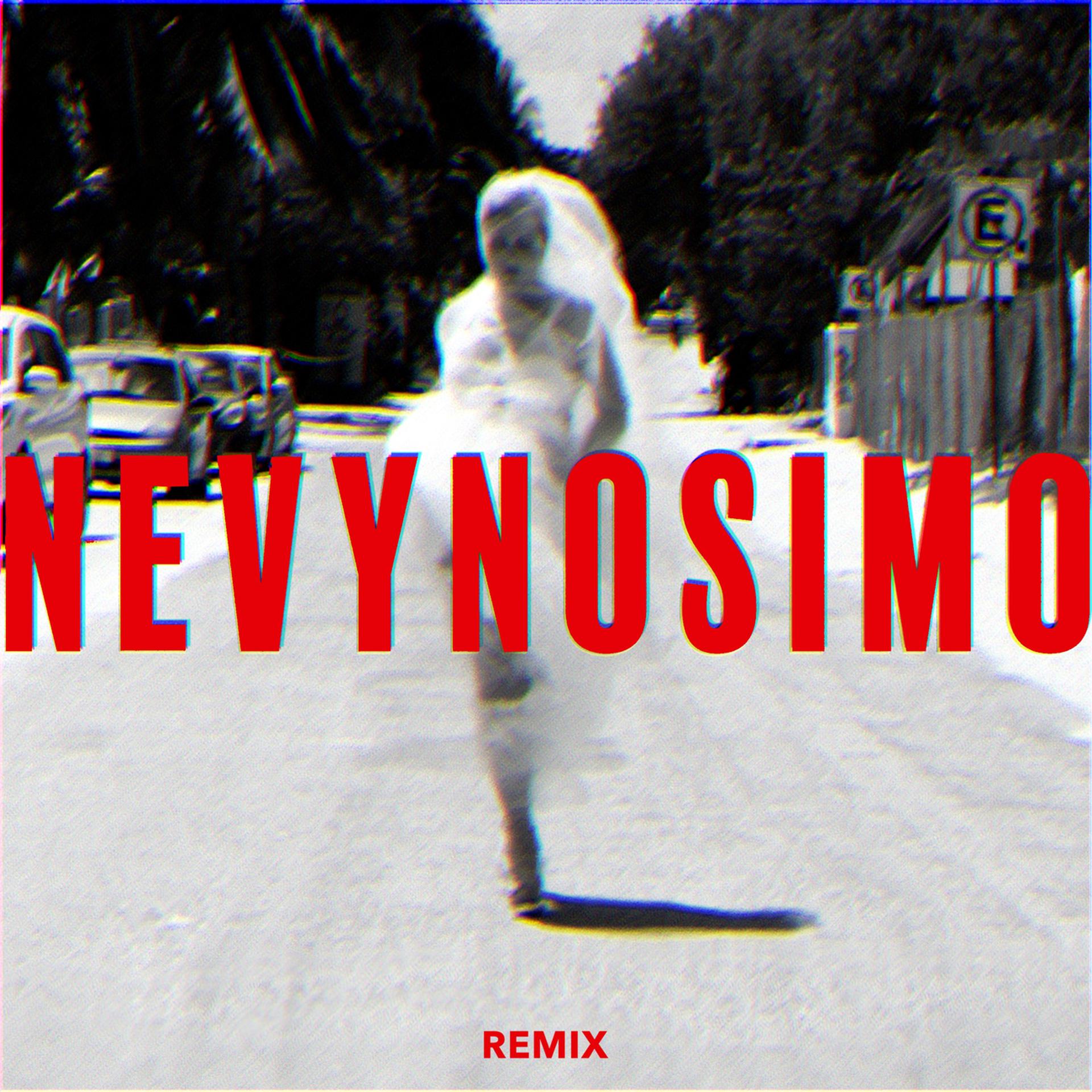Постер альбома NEVYNOSIMO (Remix)