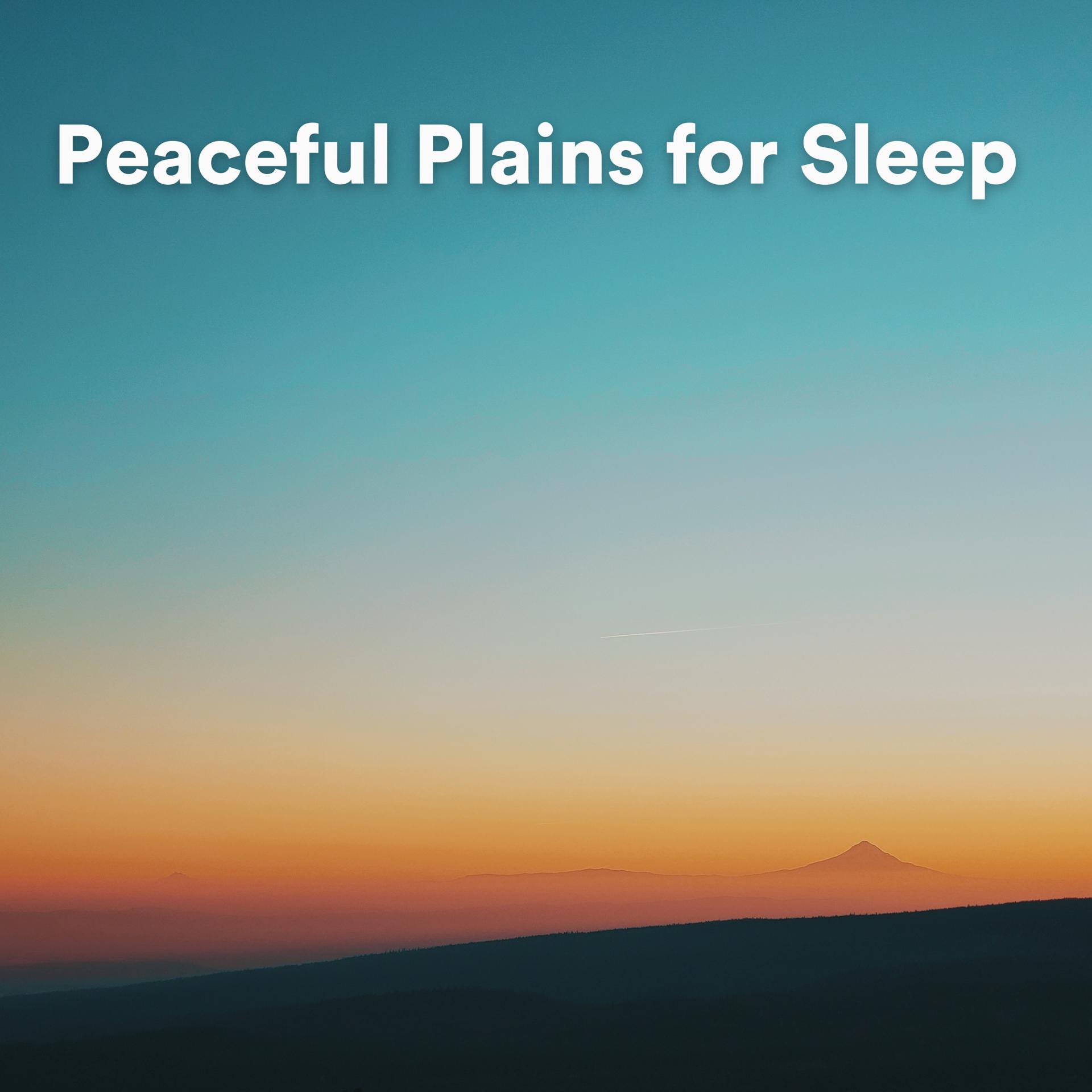 Постер альбома Peaceful Plains for Sleep