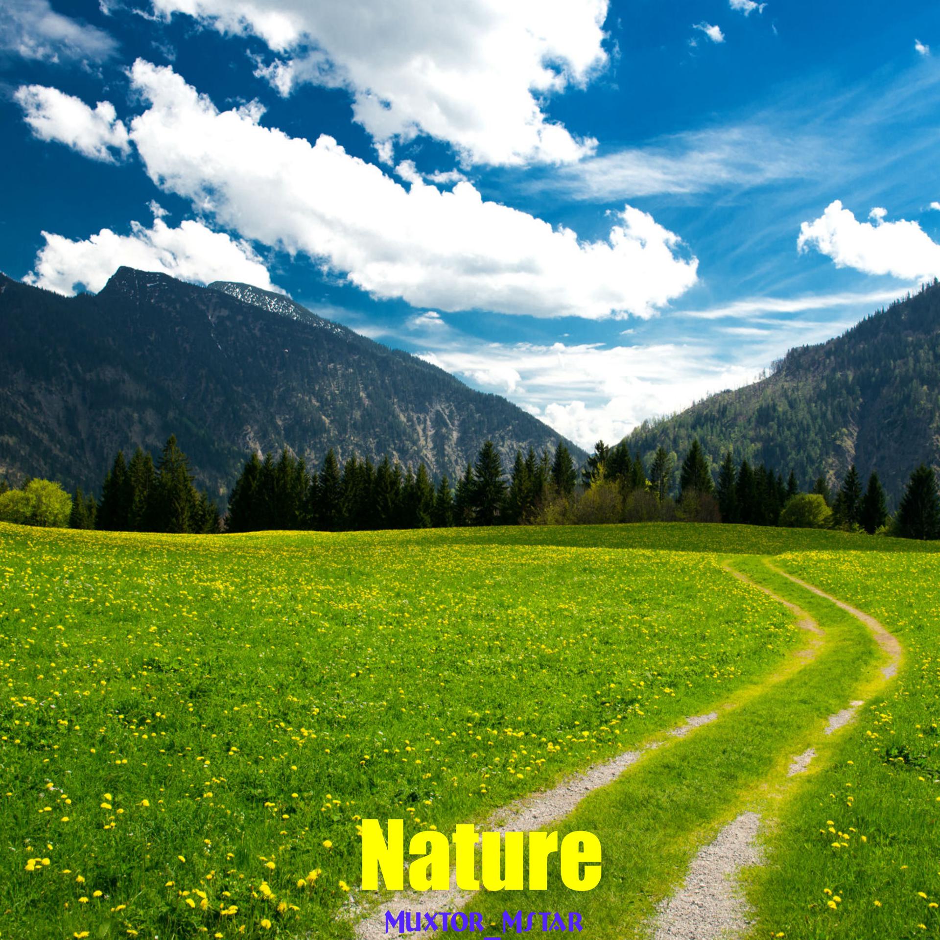 Постер альбома Nature
