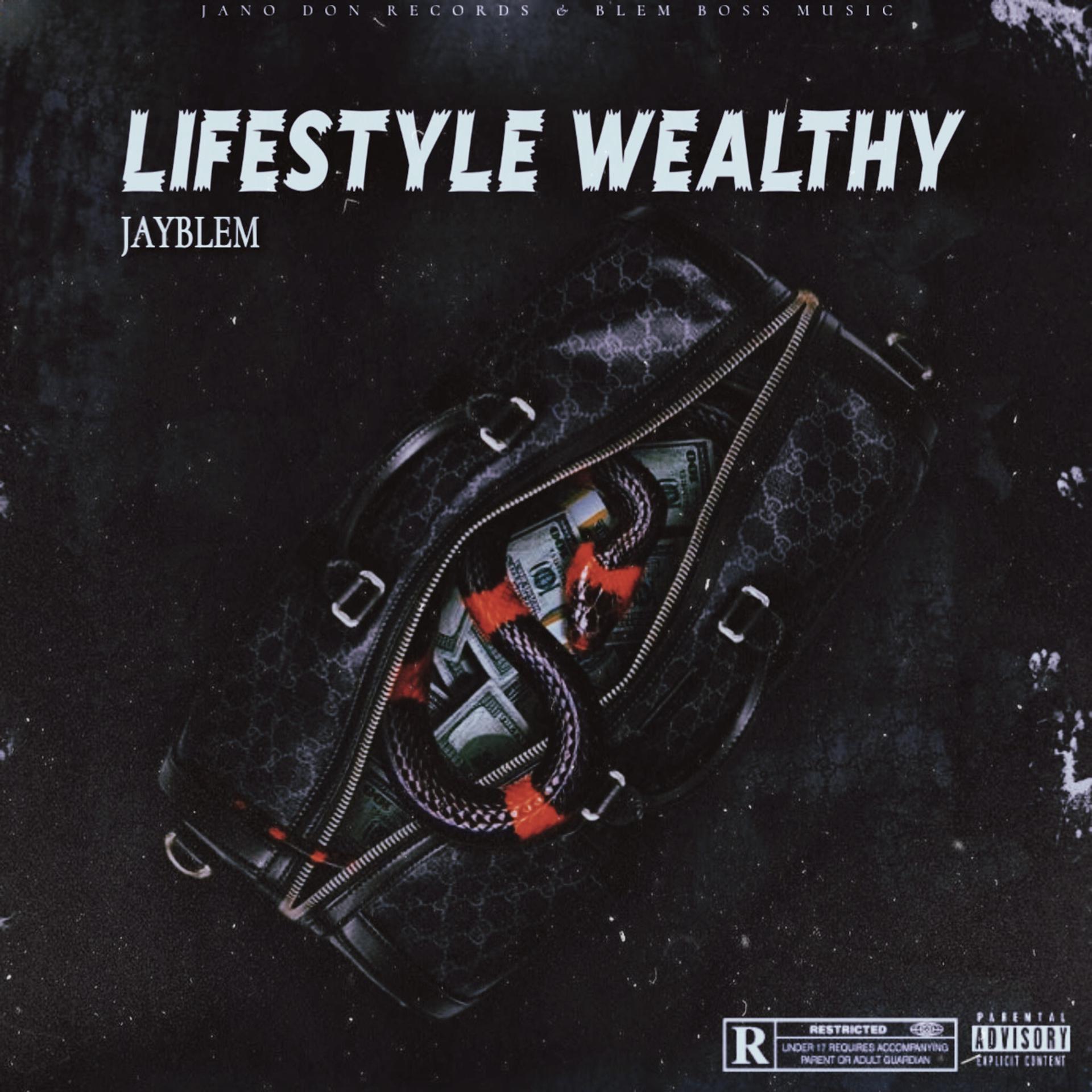 Постер альбома Lifestyle Wealthy