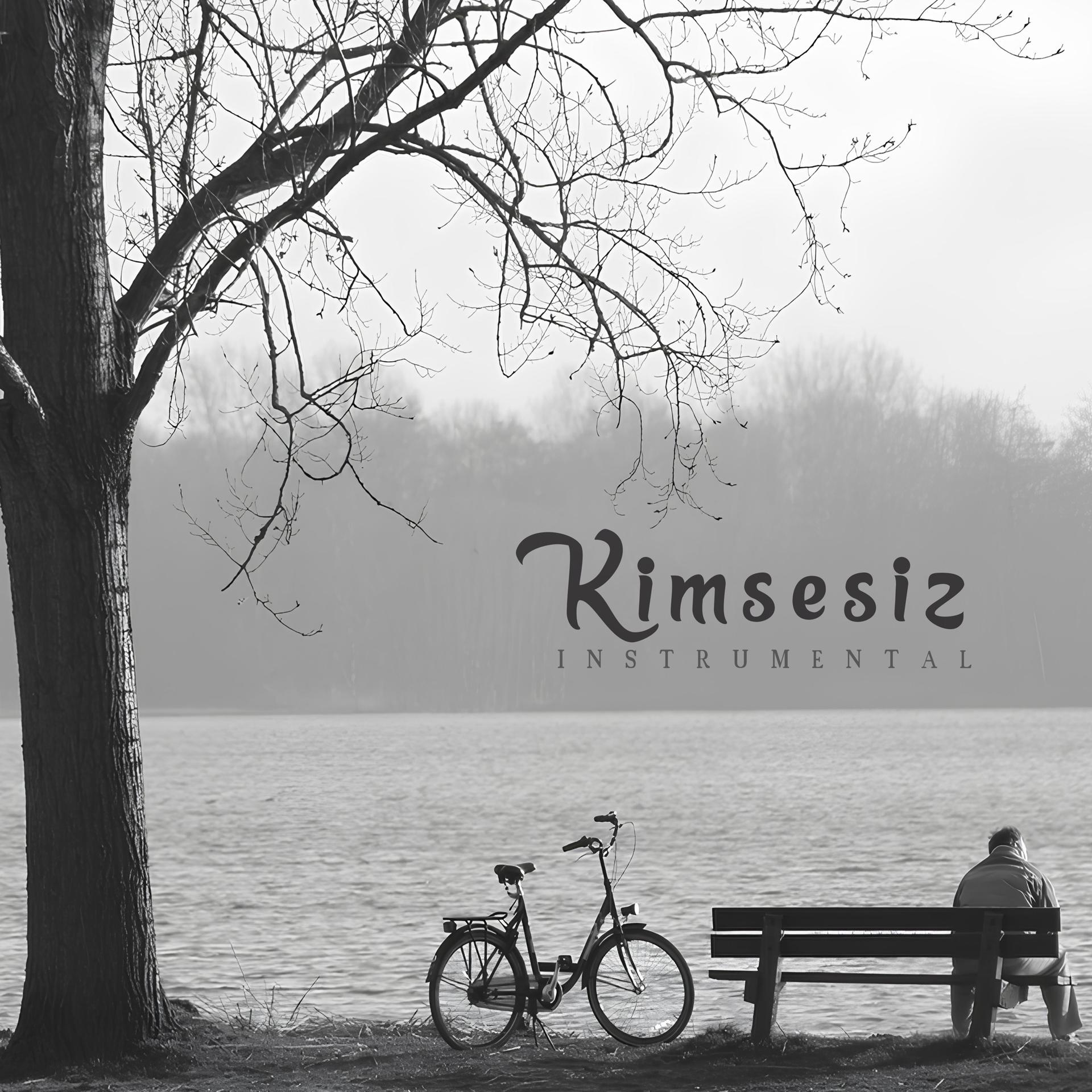 Постер альбома Kimsesiz
