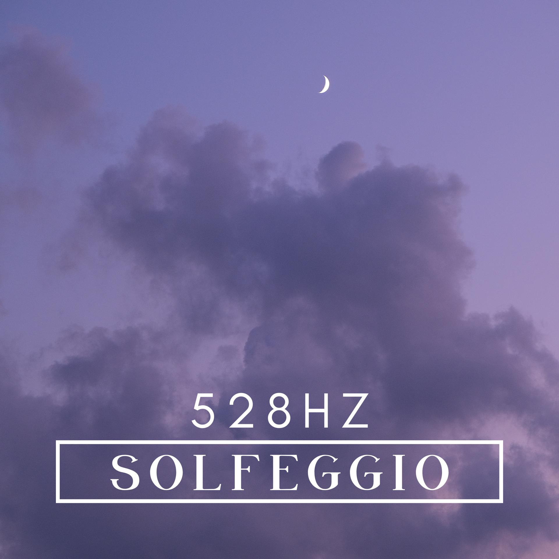 Постер альбома 528Hz Solfeggio