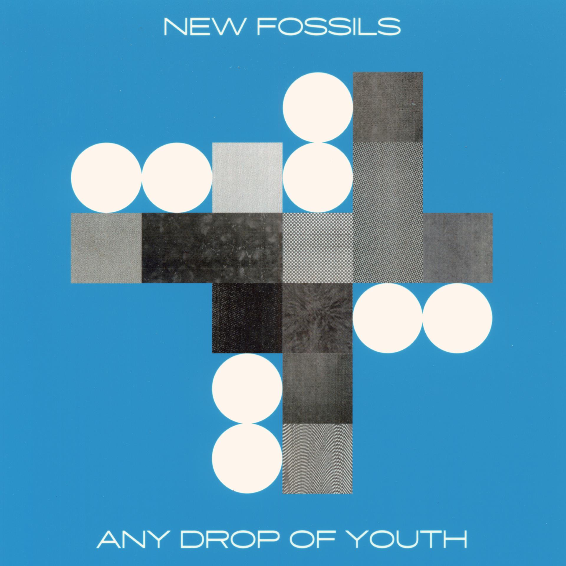 Постер альбома Any Drop of Youth