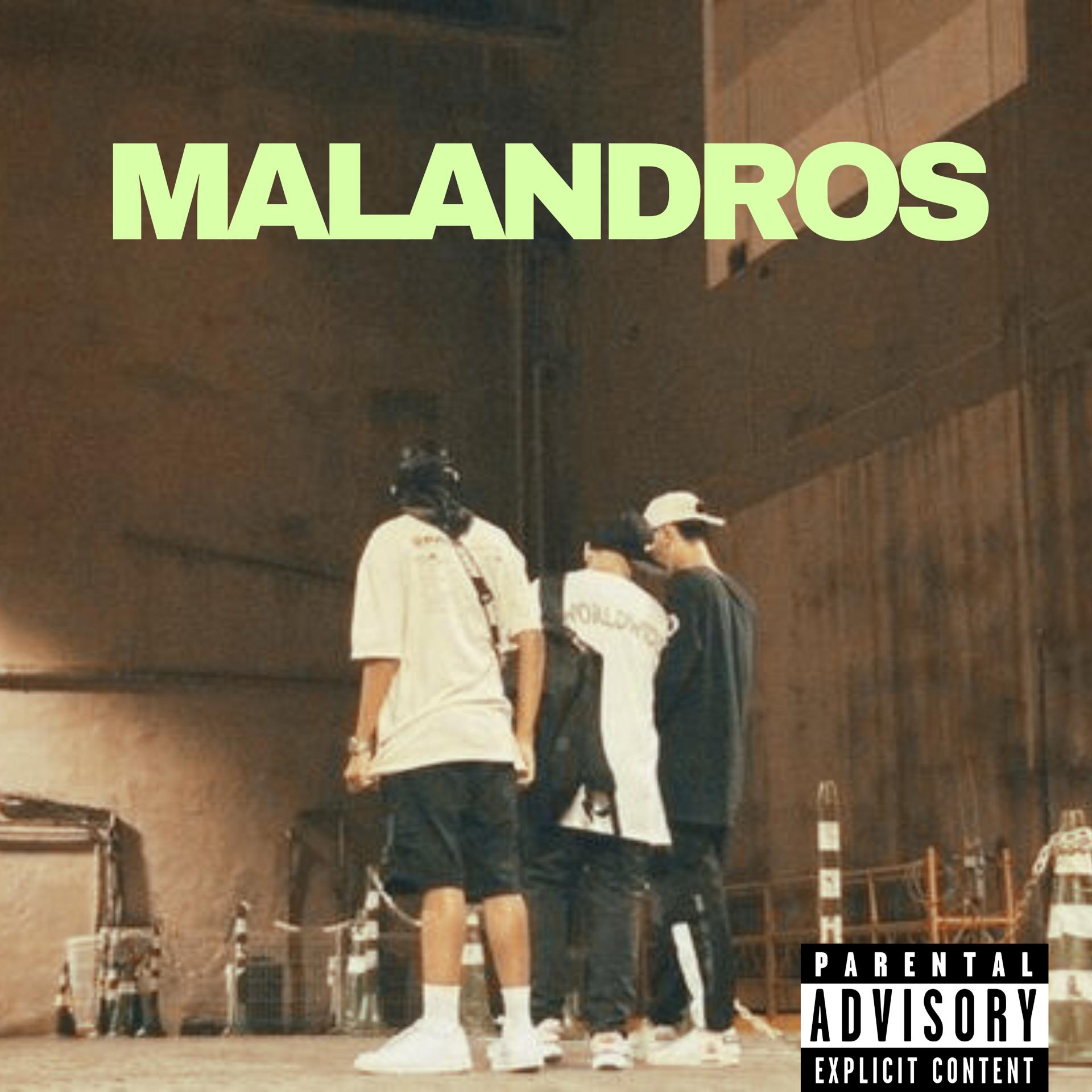 Постер альбома Malandros