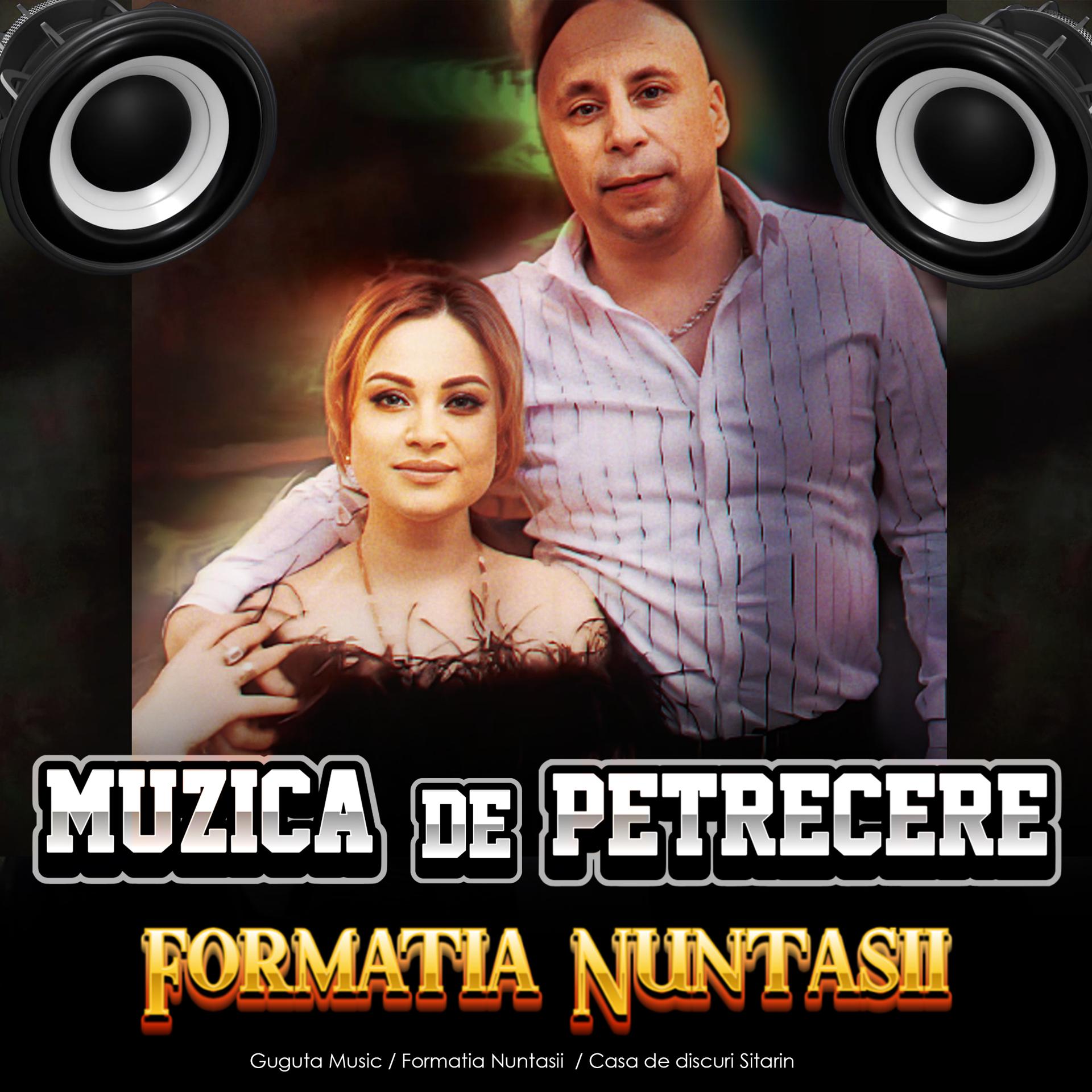 Постер альбома MUZICA DE PETRECERE