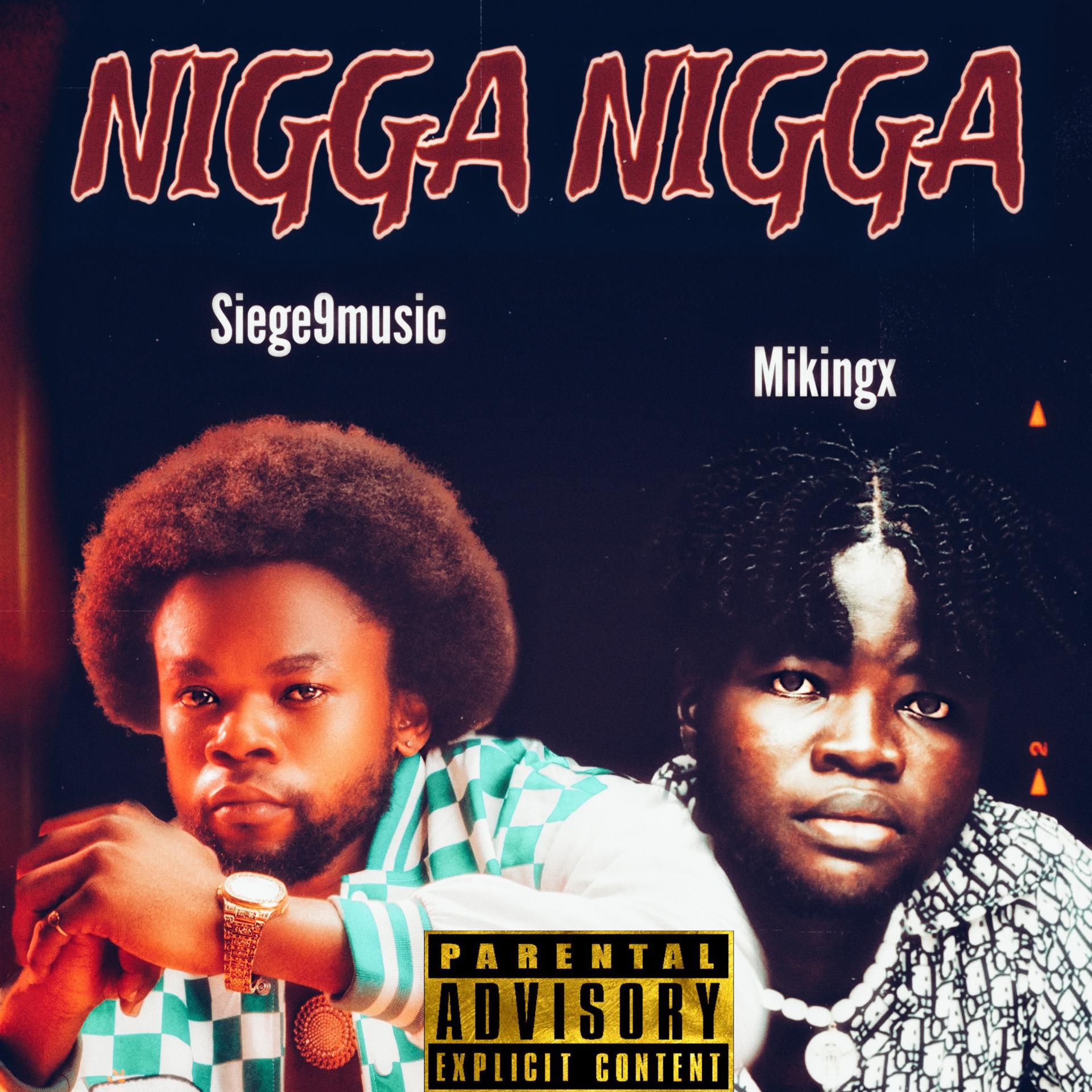 Постер альбома Nigga Nigga