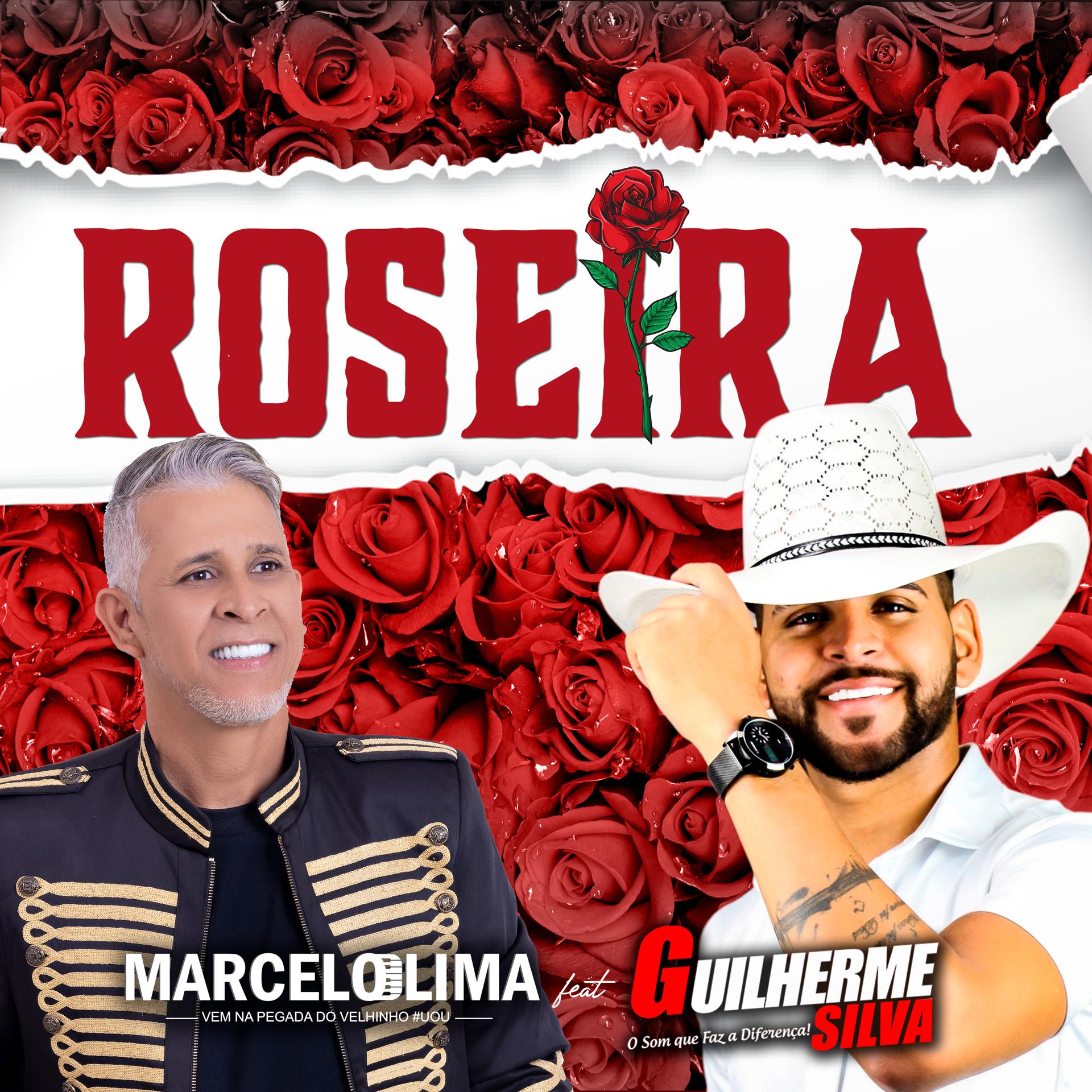 Постер альбома Roseira