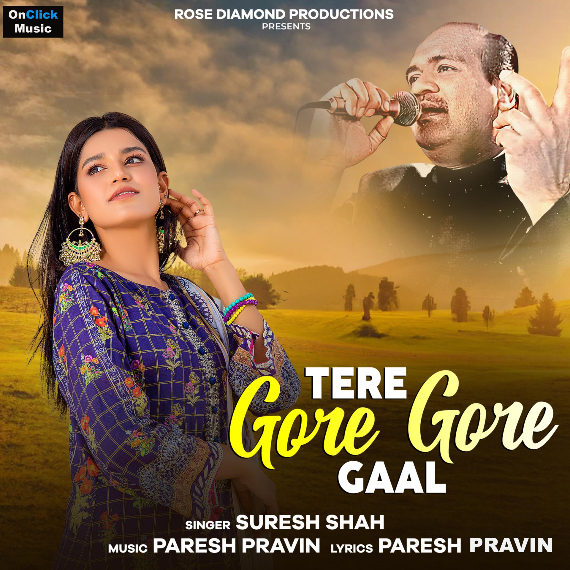Постер альбома Tere Gore Gore Gaal