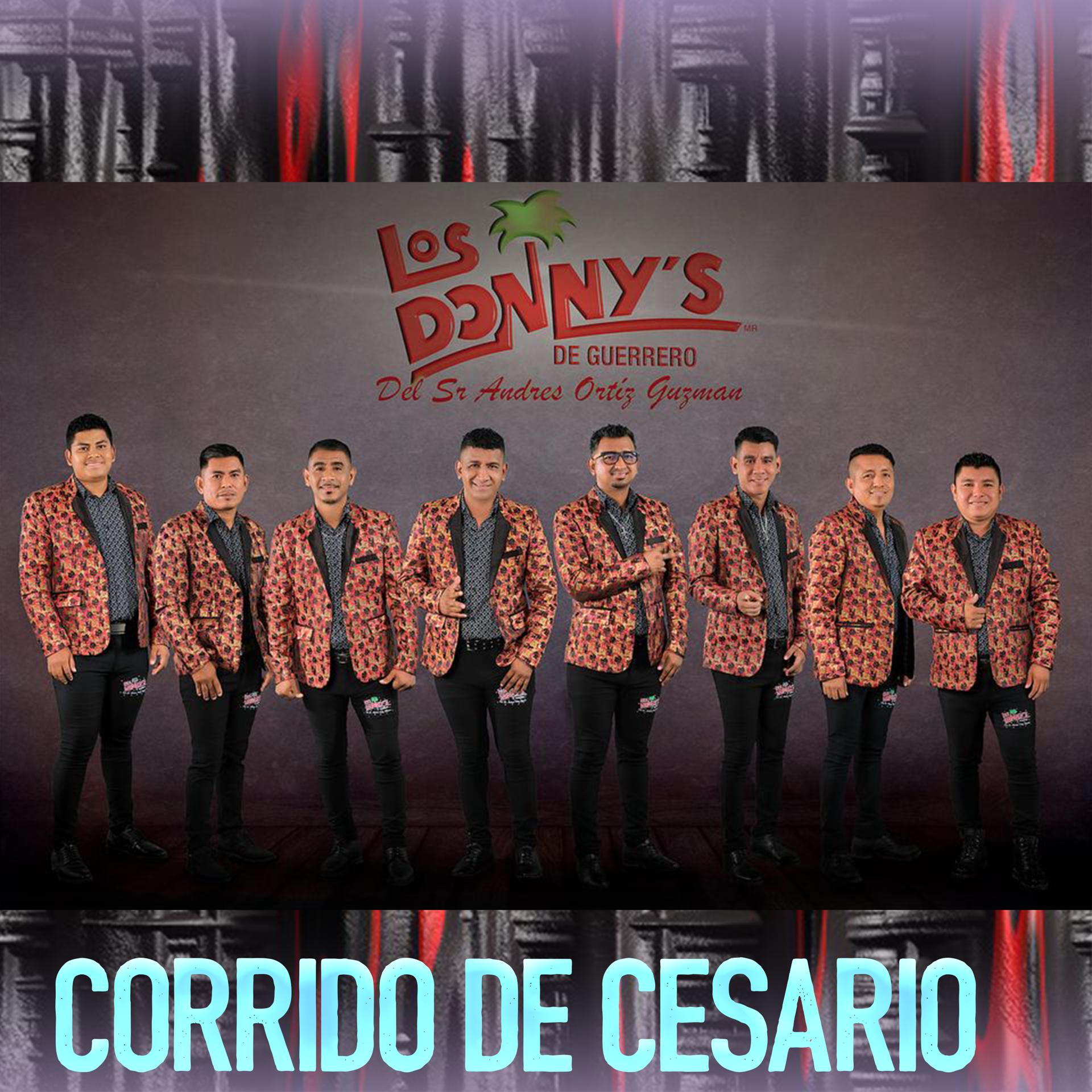 Постер альбома Corrido de Cesario