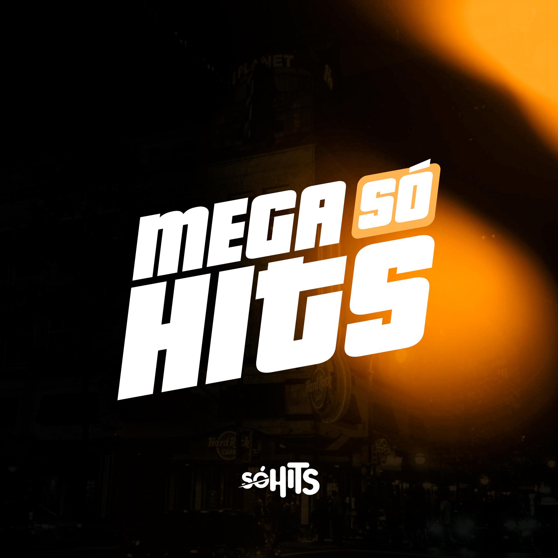 Постер альбома Mega Só Hits