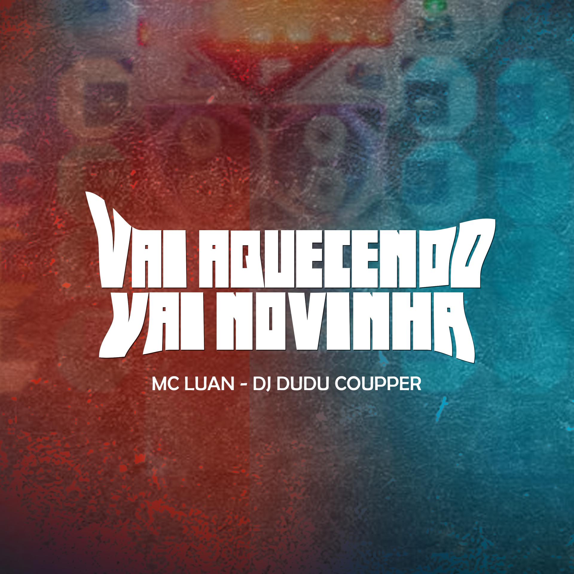 Постер альбома Vai Aquecendo, Vai Novinha