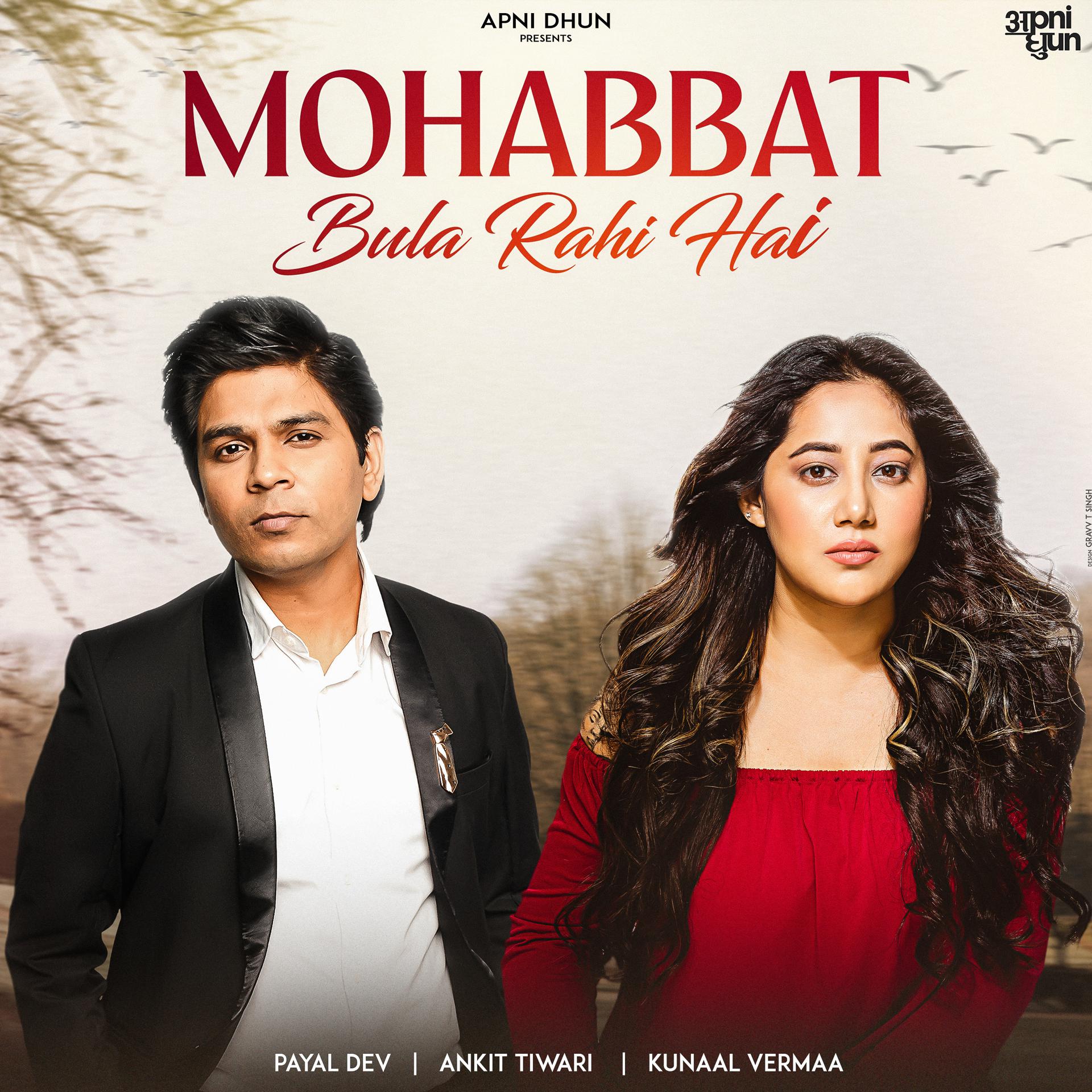 Постер альбома Mohabbat Bula Rahi Hai