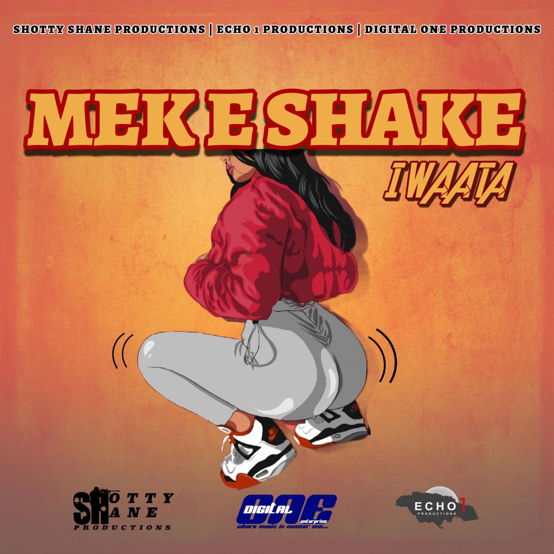 Постер альбома Mek E Shake