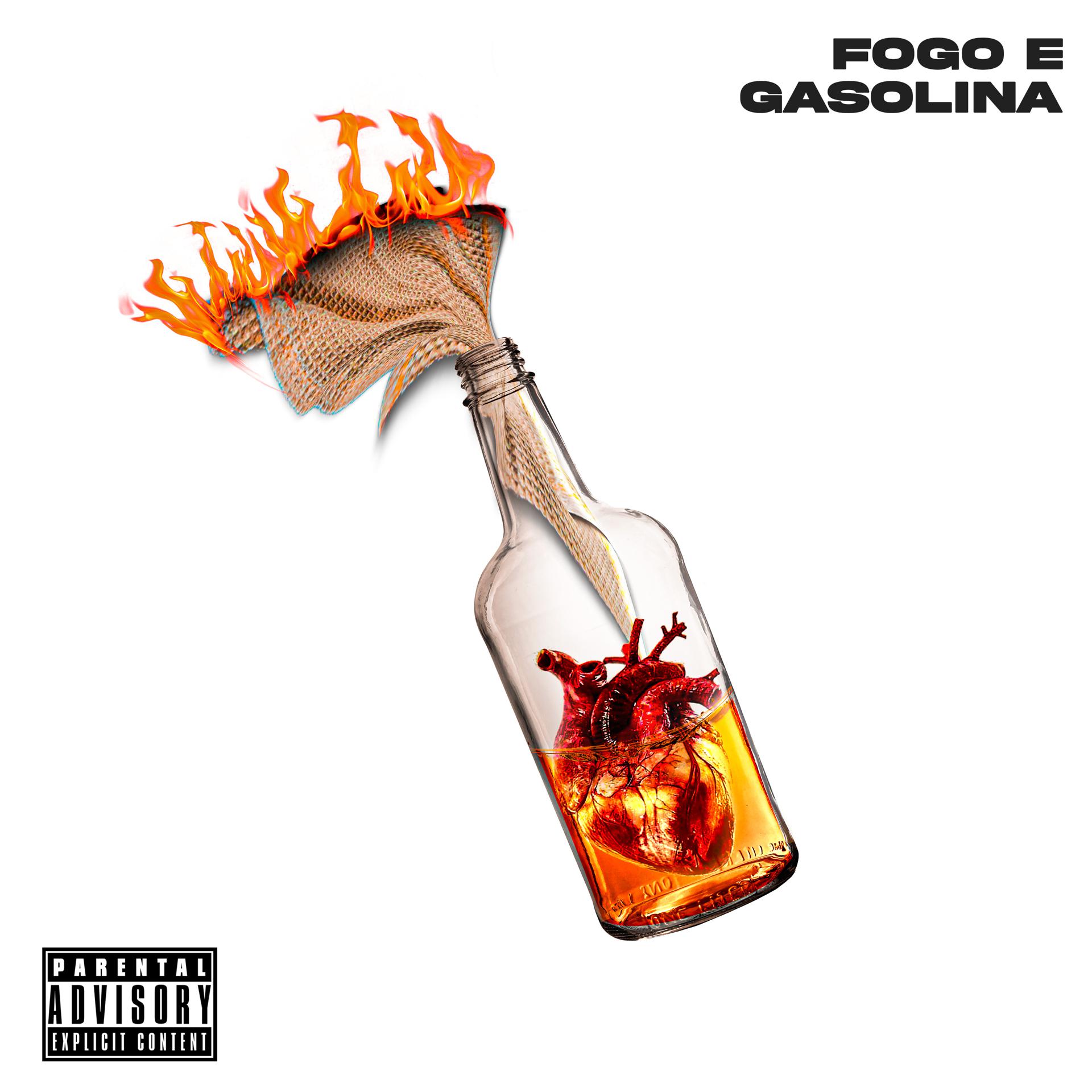 Постер альбома Fogo e Gasolina